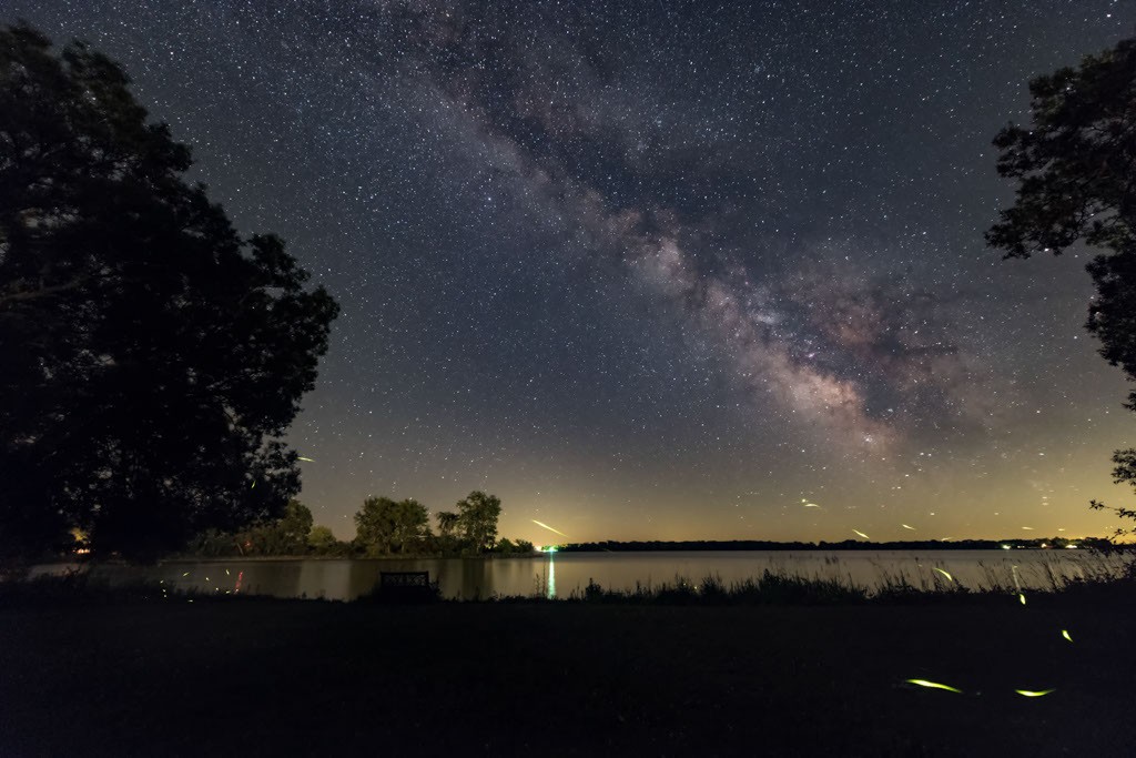 Firefly Trails and the Summer Milky Way — APOD for 2016-07-02