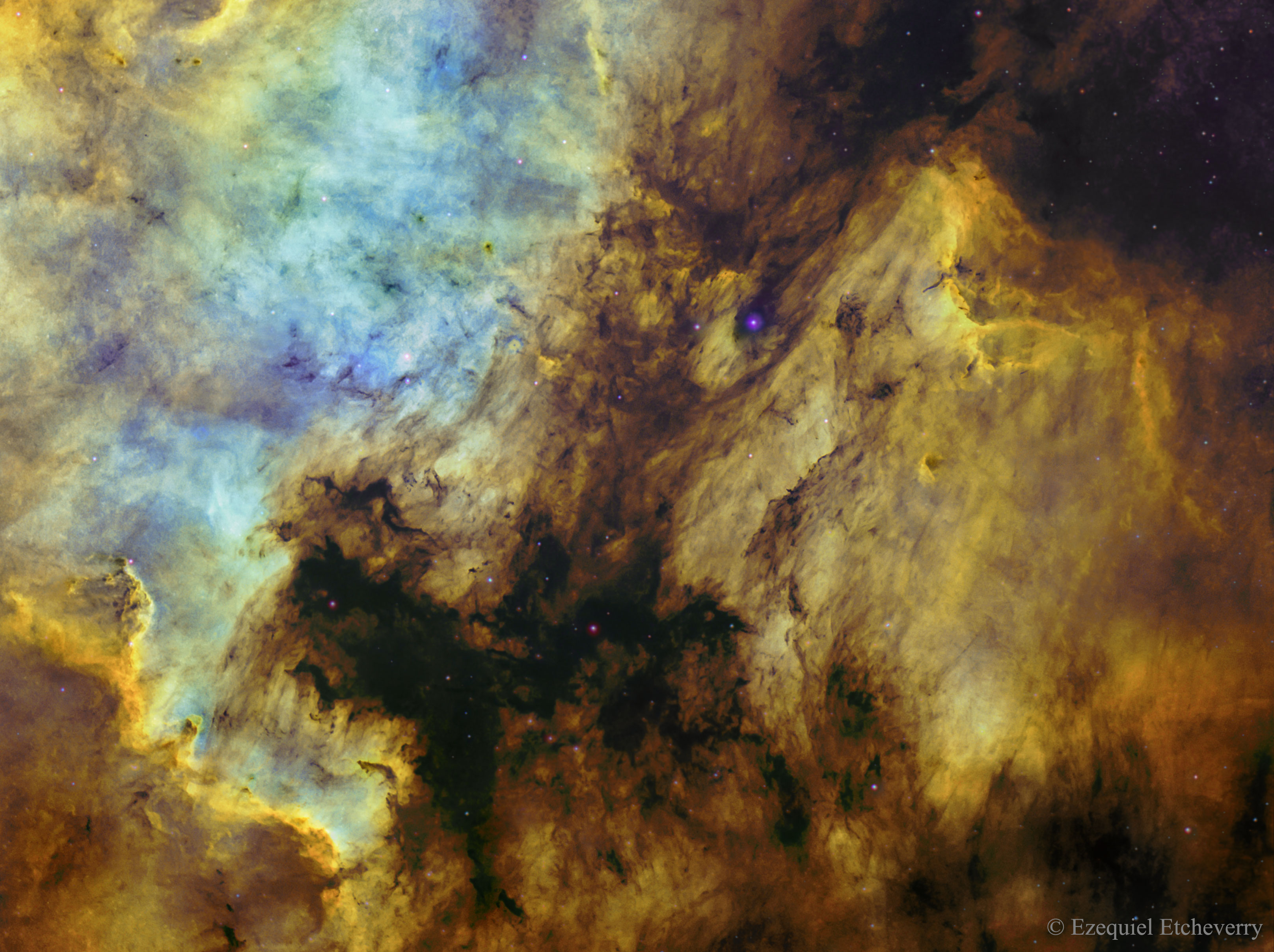APOD: 2016 June 14 – The North America and Pelican Nebulas