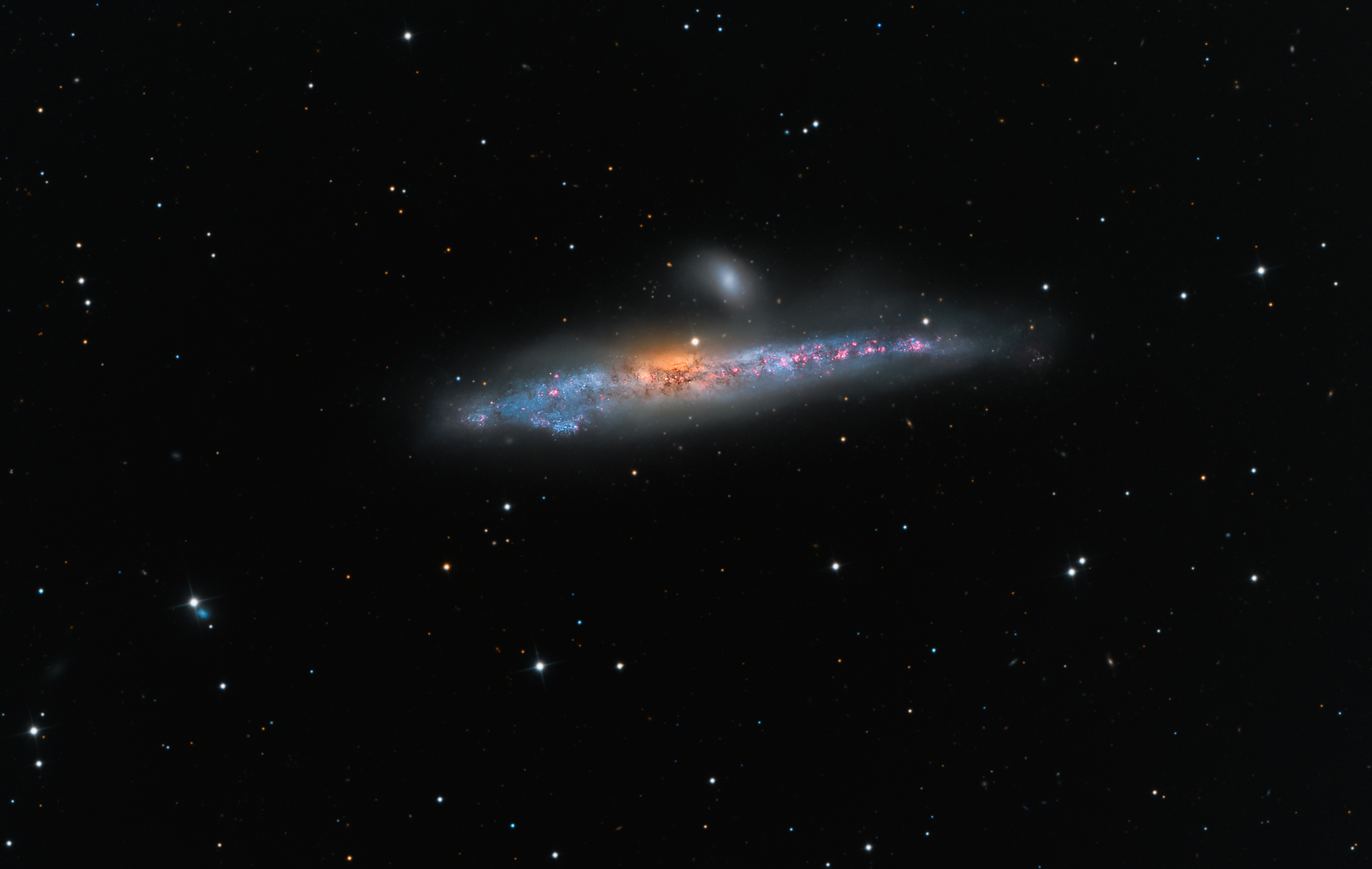 APOD: 2016 June 3 – NGC 4631: The Whale Galaxy