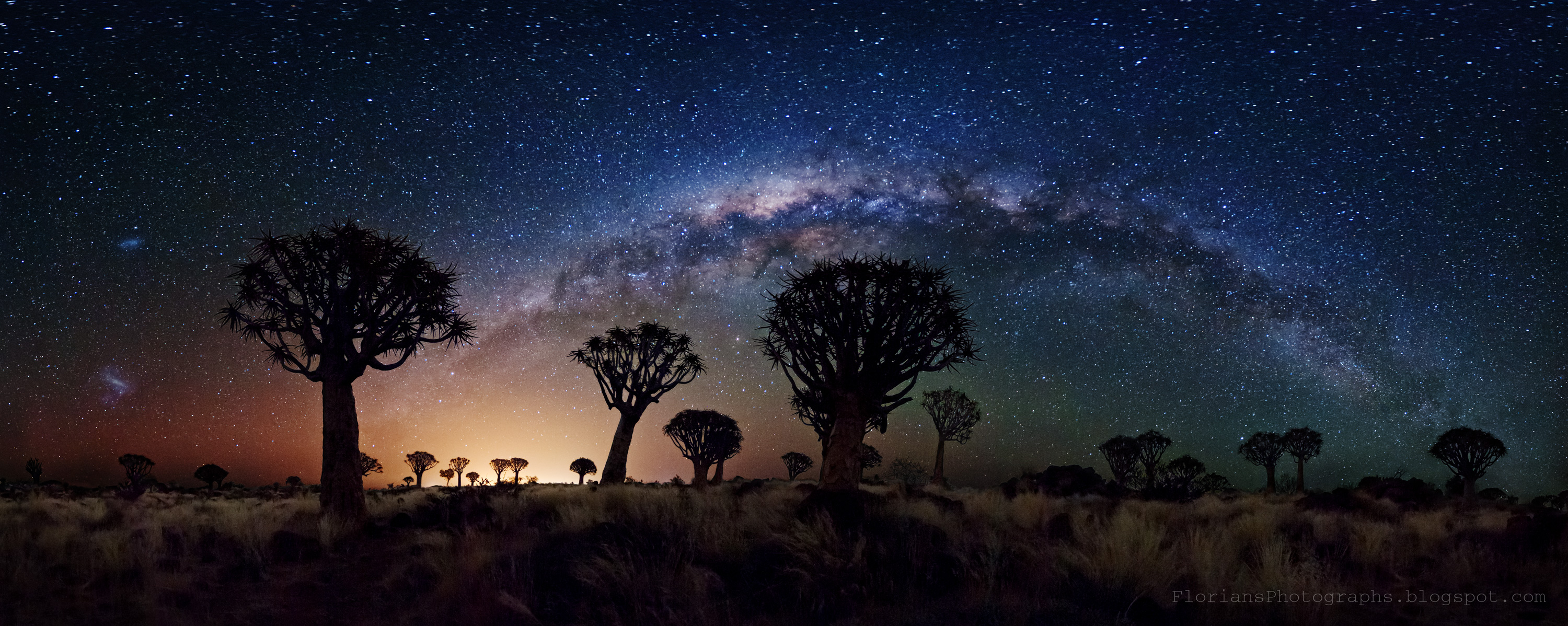 APOD: 2016 May 15 – Milky Way Over Quiver Tree Forest