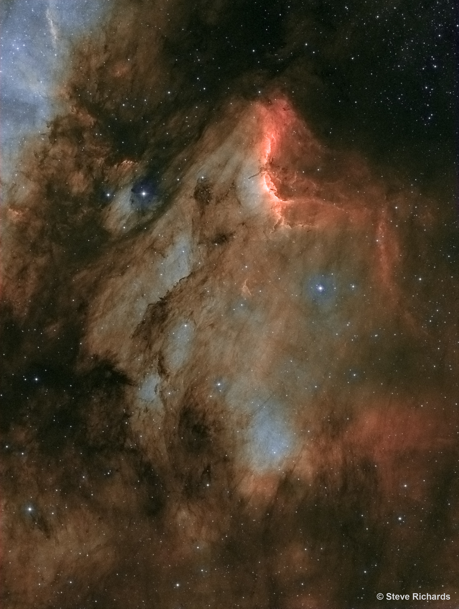 APOD: 2016 November 19 – IC 5070: A Dusty Pelican in the Swan