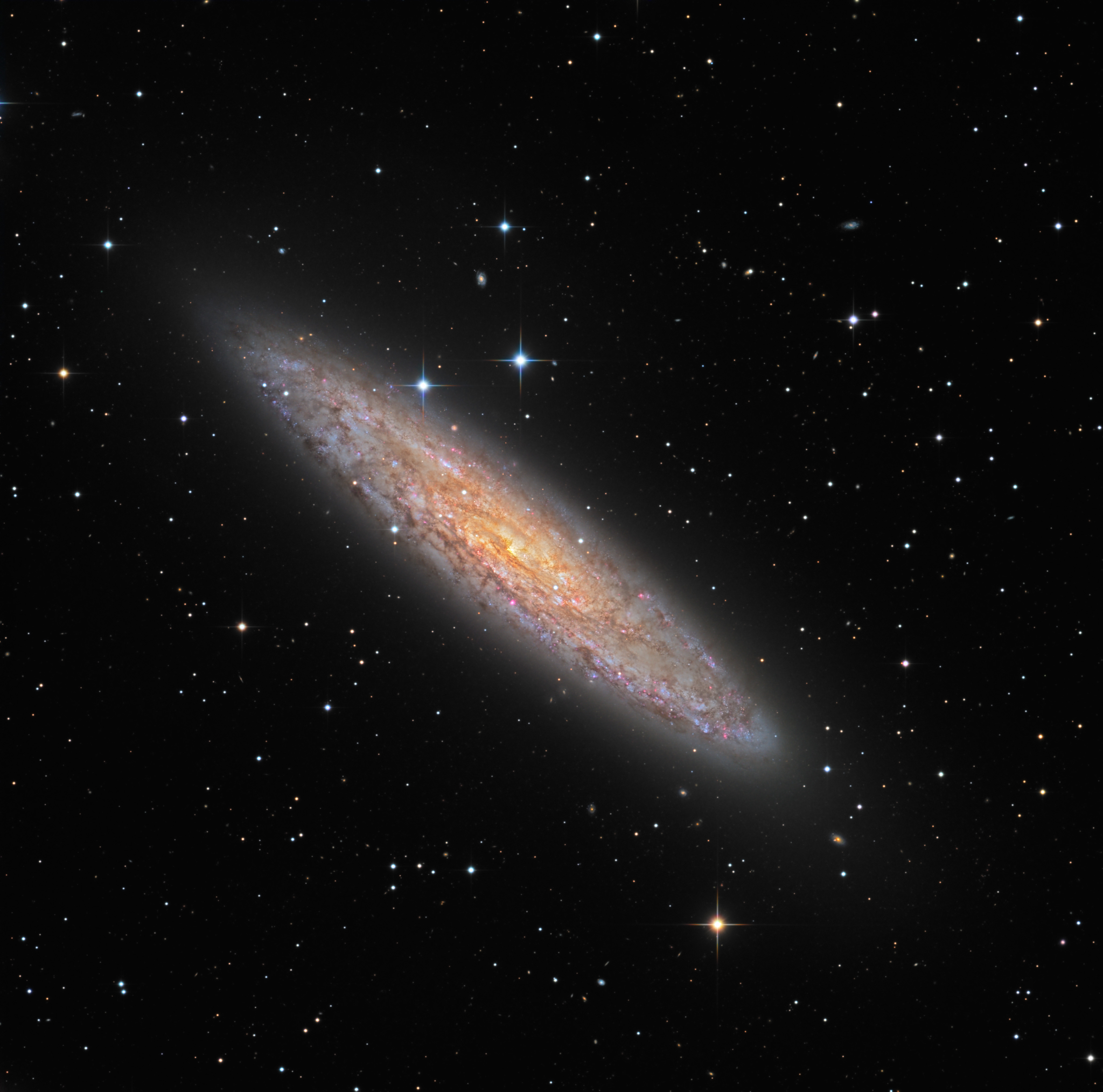 APOD: 2016 November 3 – NGC 253: Dusty Island Universe