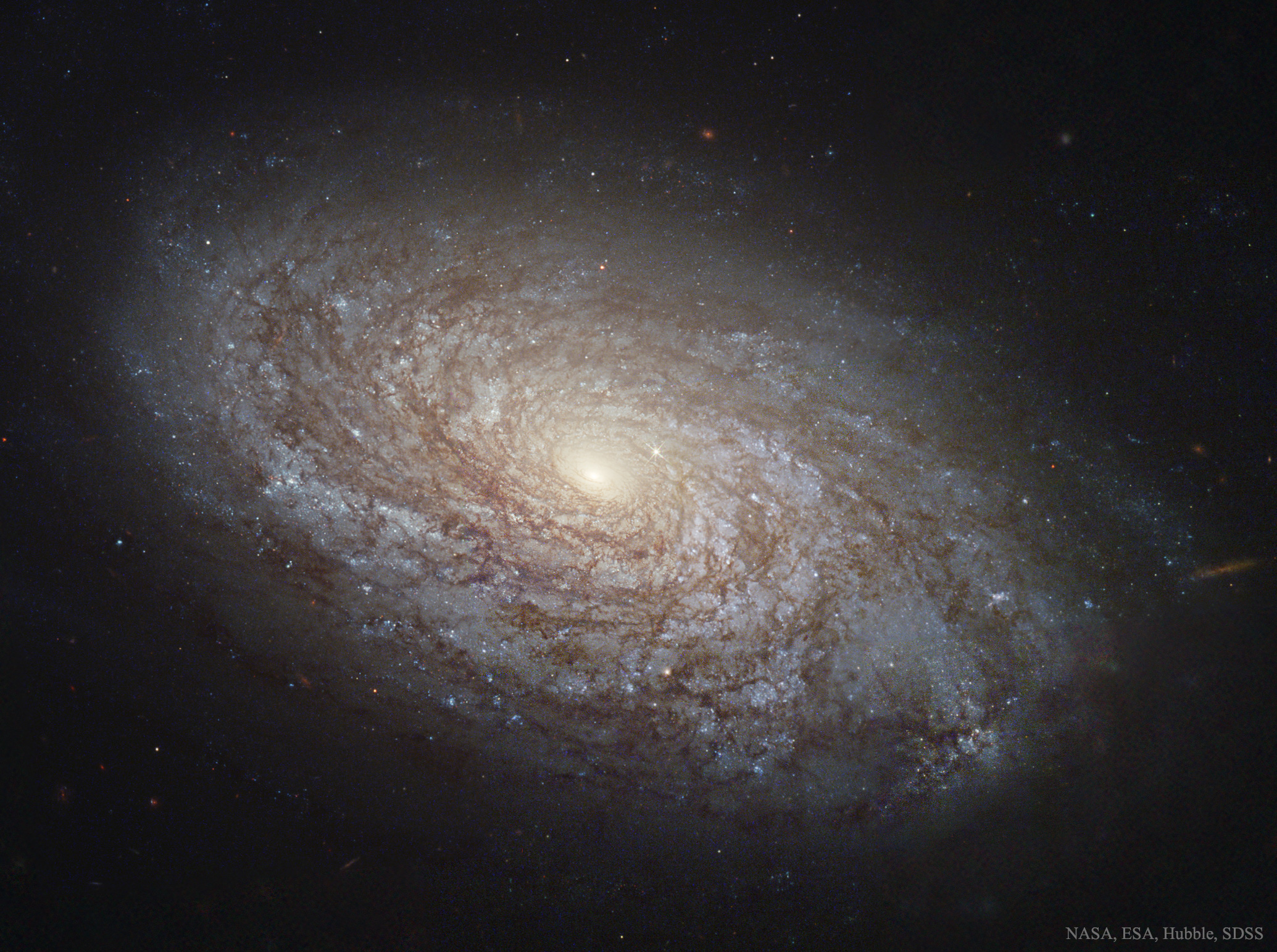 APOD: 2016 November 20 – NGC 4414: A Flocculent Spiral Galaxy