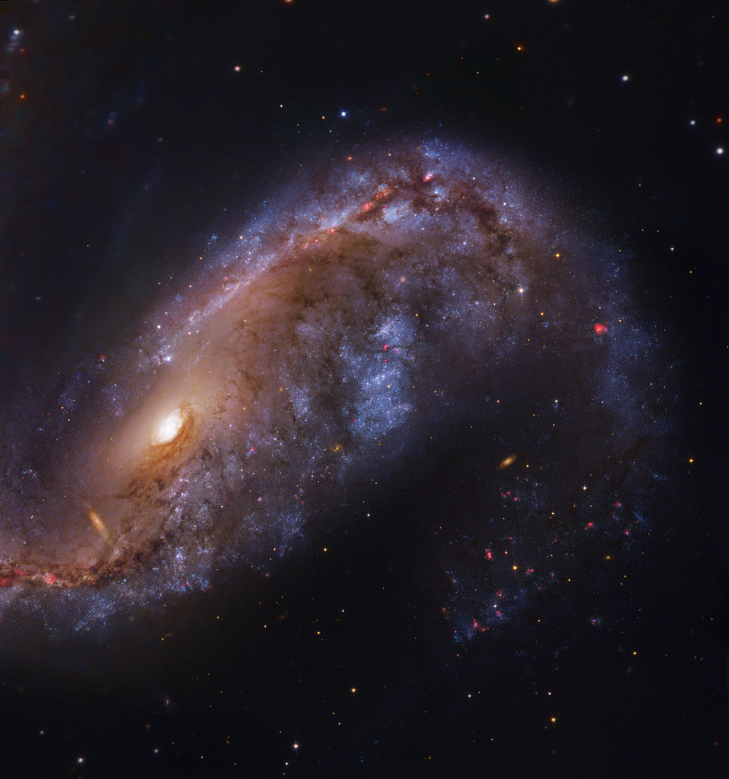 APOD: 2017 August 17 – NGC 2442: Galaxy in Volans
