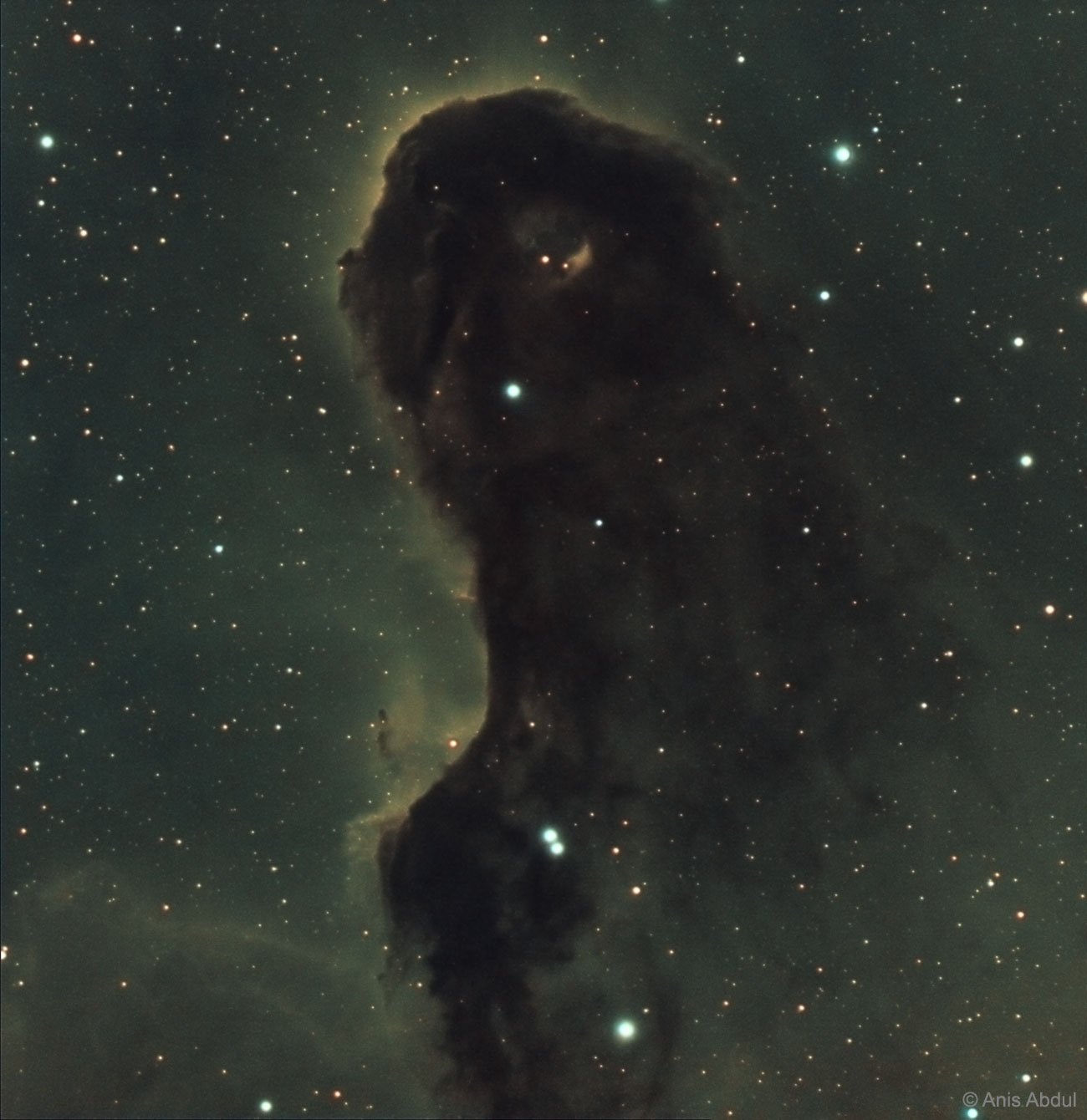 APOD: 2017 August 2 – The Dust Monster in IC 1396
