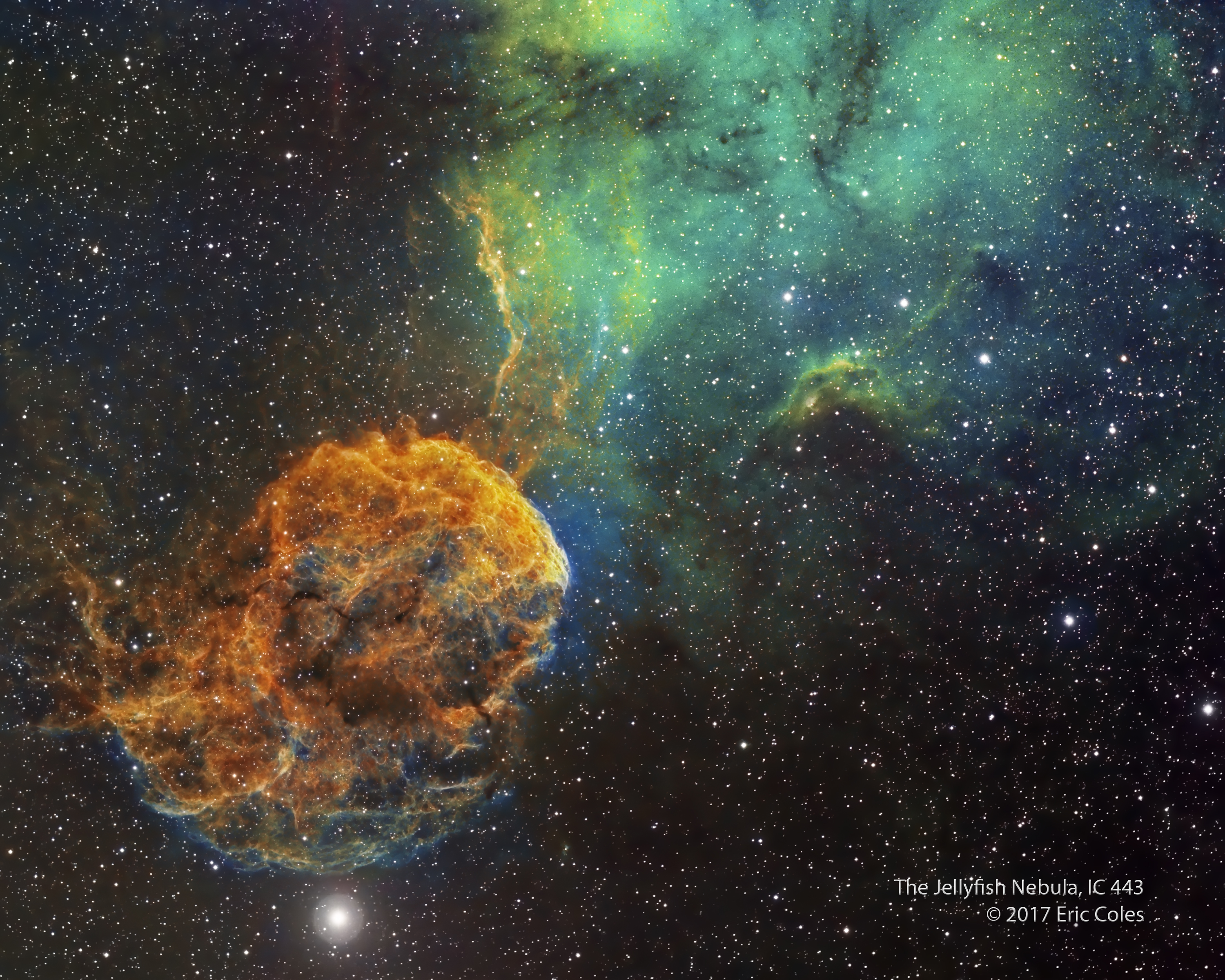 APOD: 2017 January 7 – Sharpless 249 and the Jellyfish Nebula