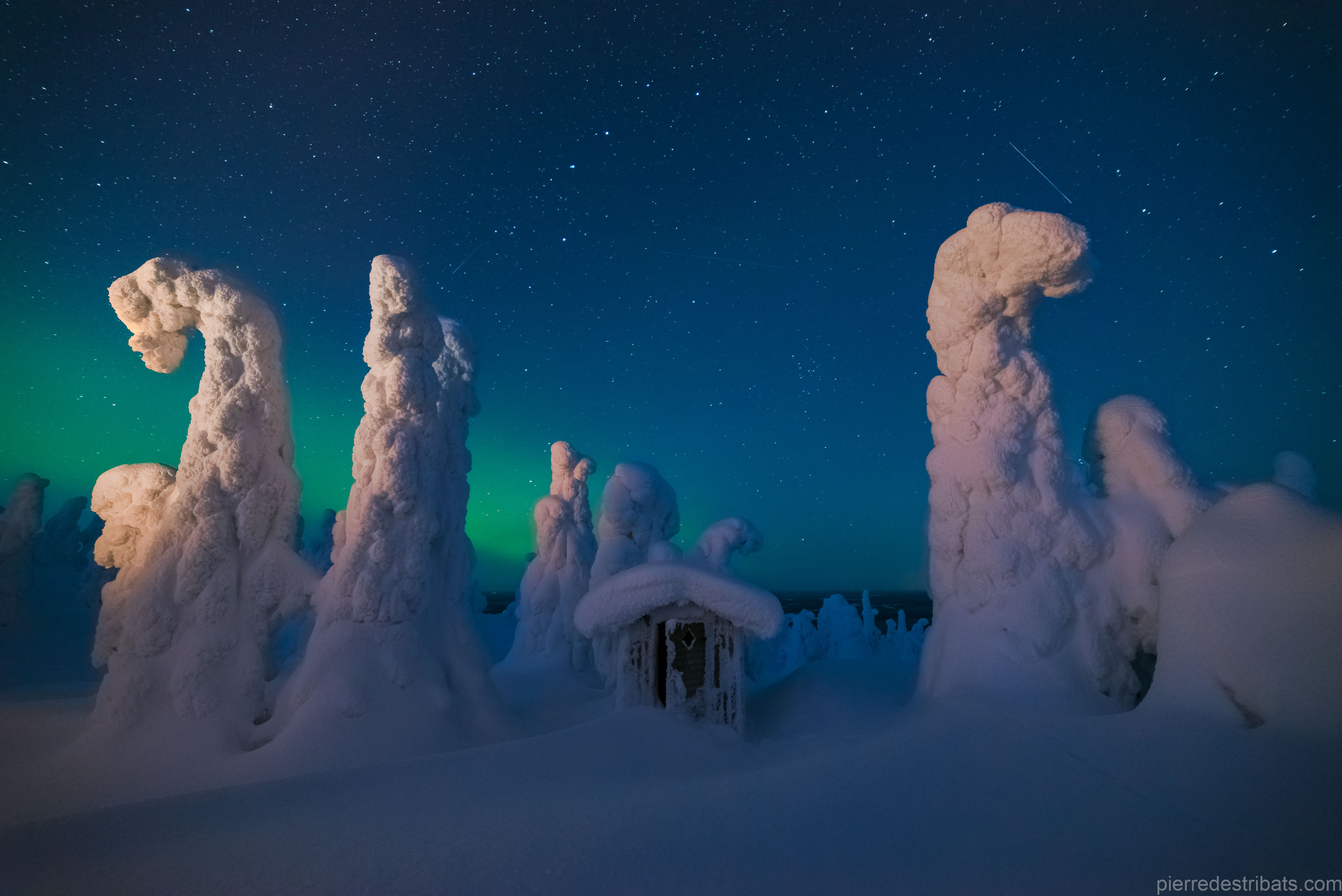 APOD: 2017 January 10 – Sentinels of a Northern Sky