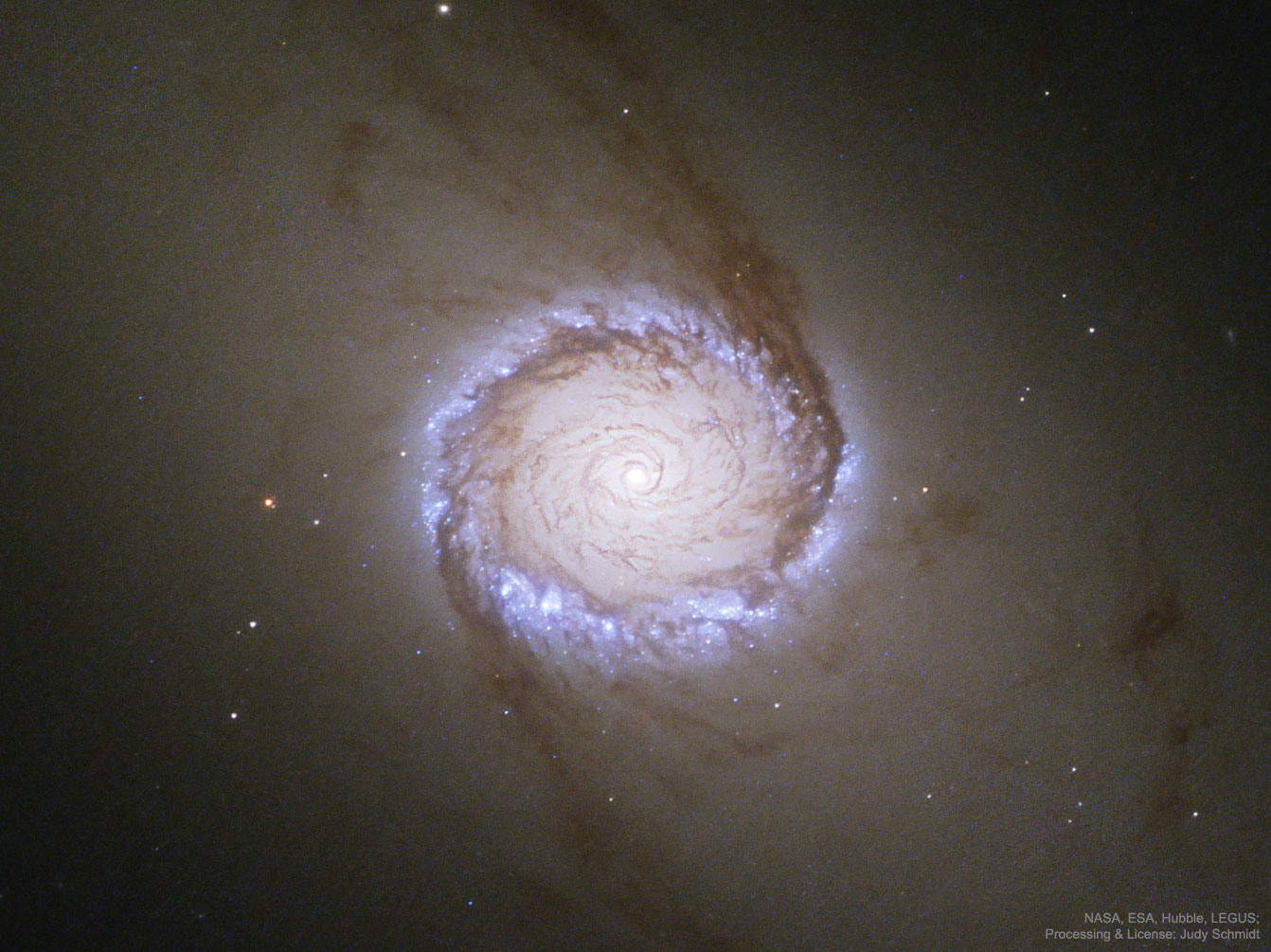 APOD: 2017 July 10 – Spiral Galaxy NGC 1512: The Nuclear Ring