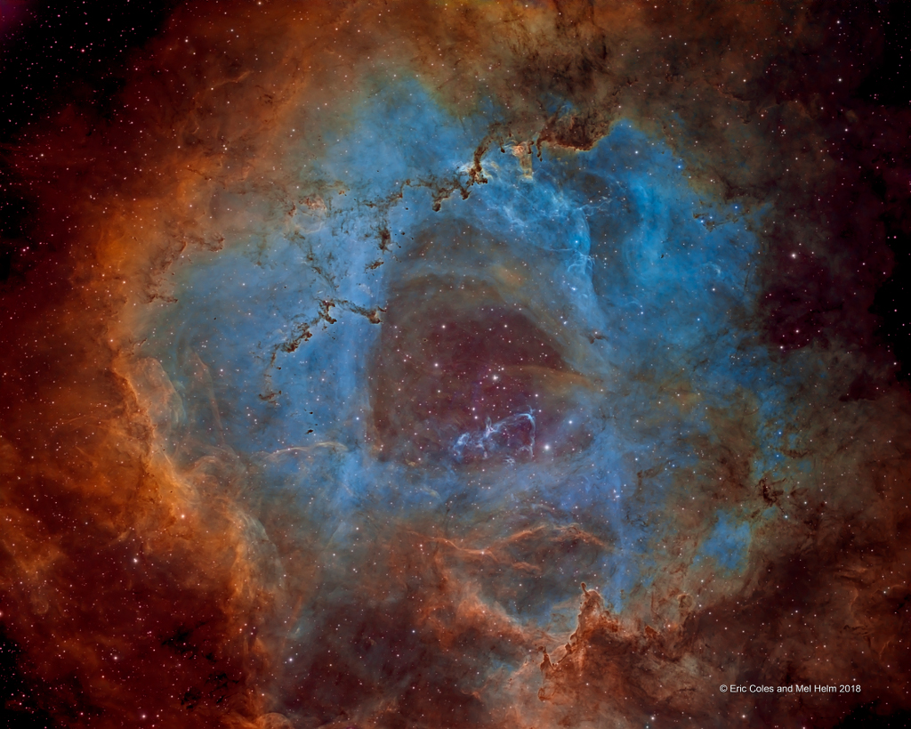 APOD: 2018 February 22 – When Roses Aren’t Red