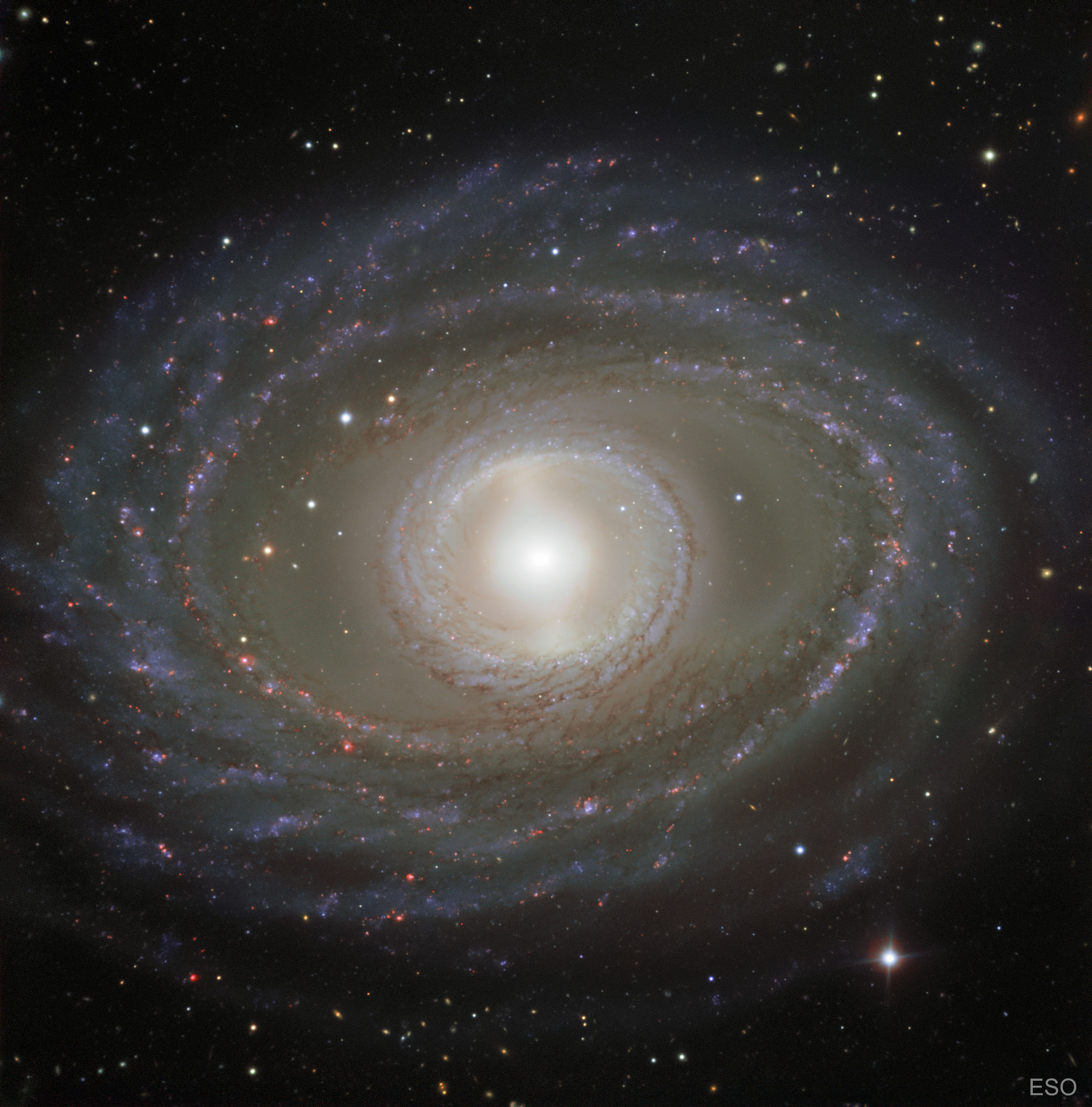 APOD: 2018 January 23 – Ribbons and Pearls of Spiral Galaxy NGC 1398