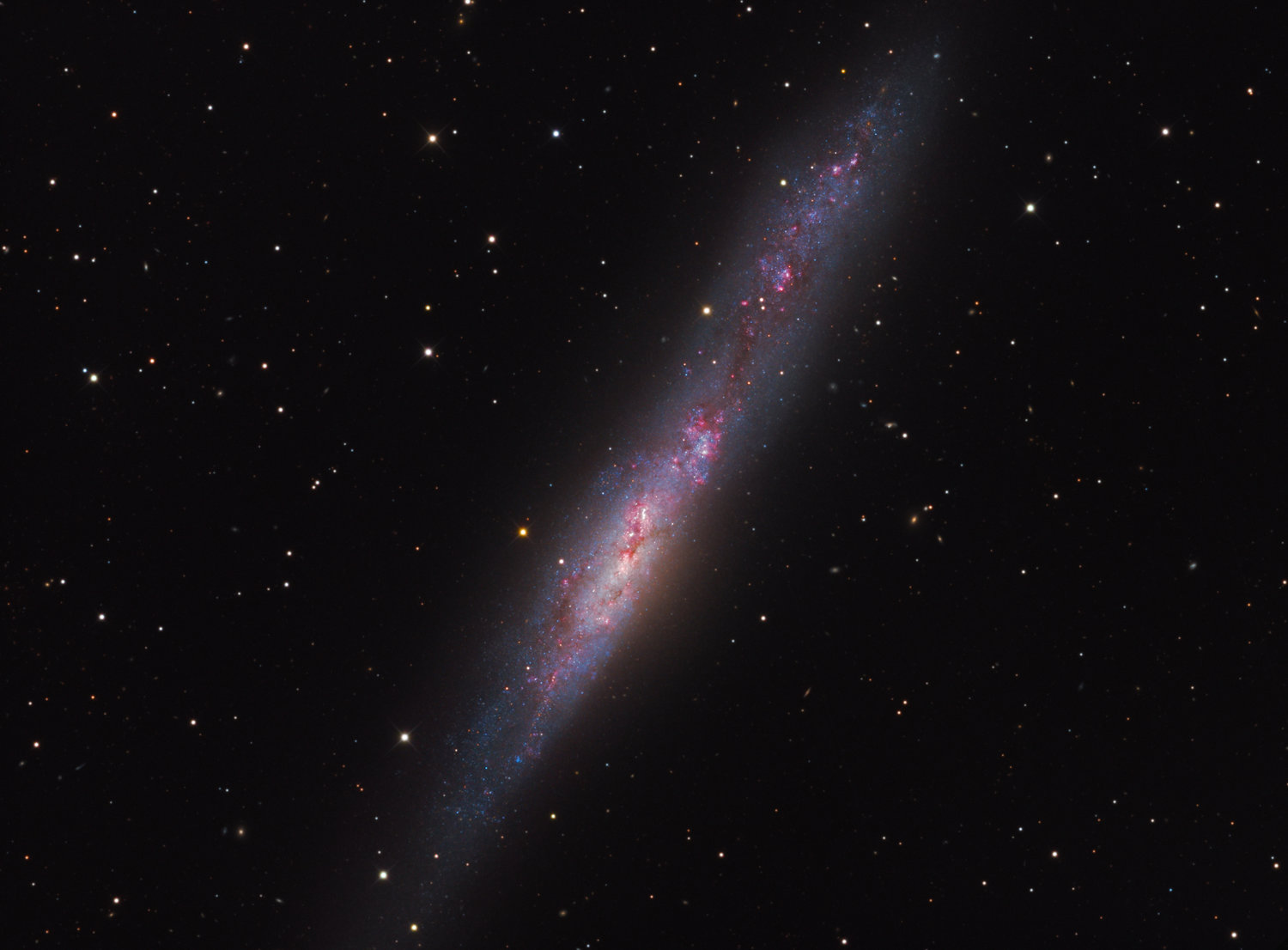 APOD: 2018 September 21 – Irregular Galaxy NGC 55