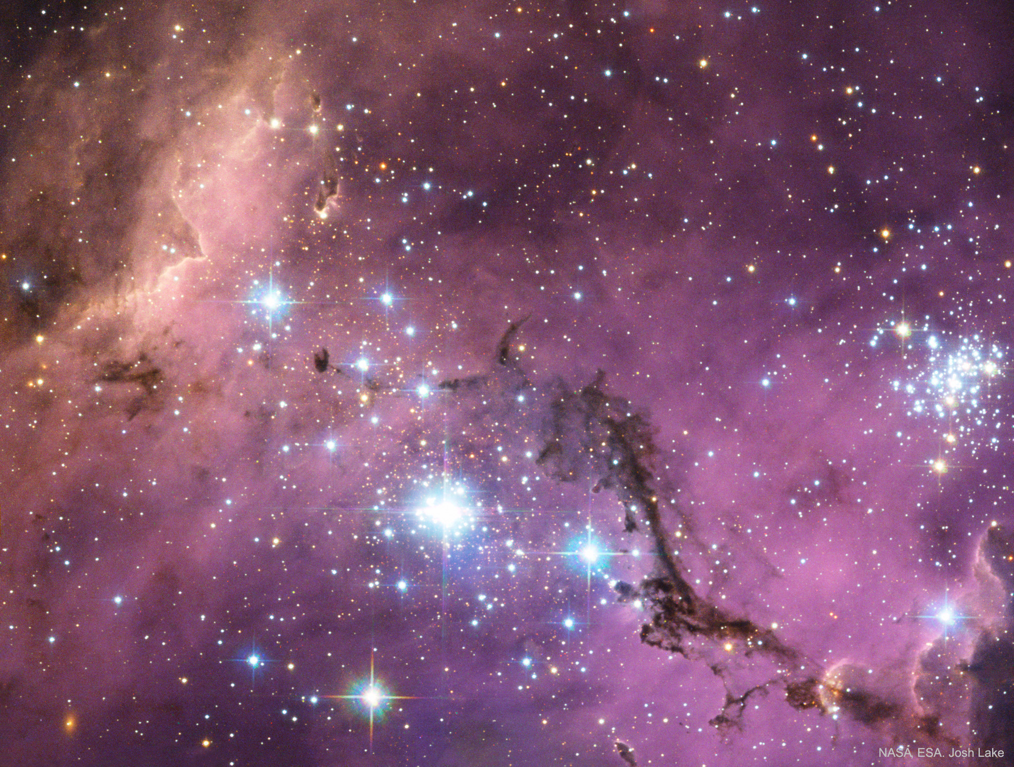 APOD: 2019 April 29 – N11: Star Clouds of the LMC