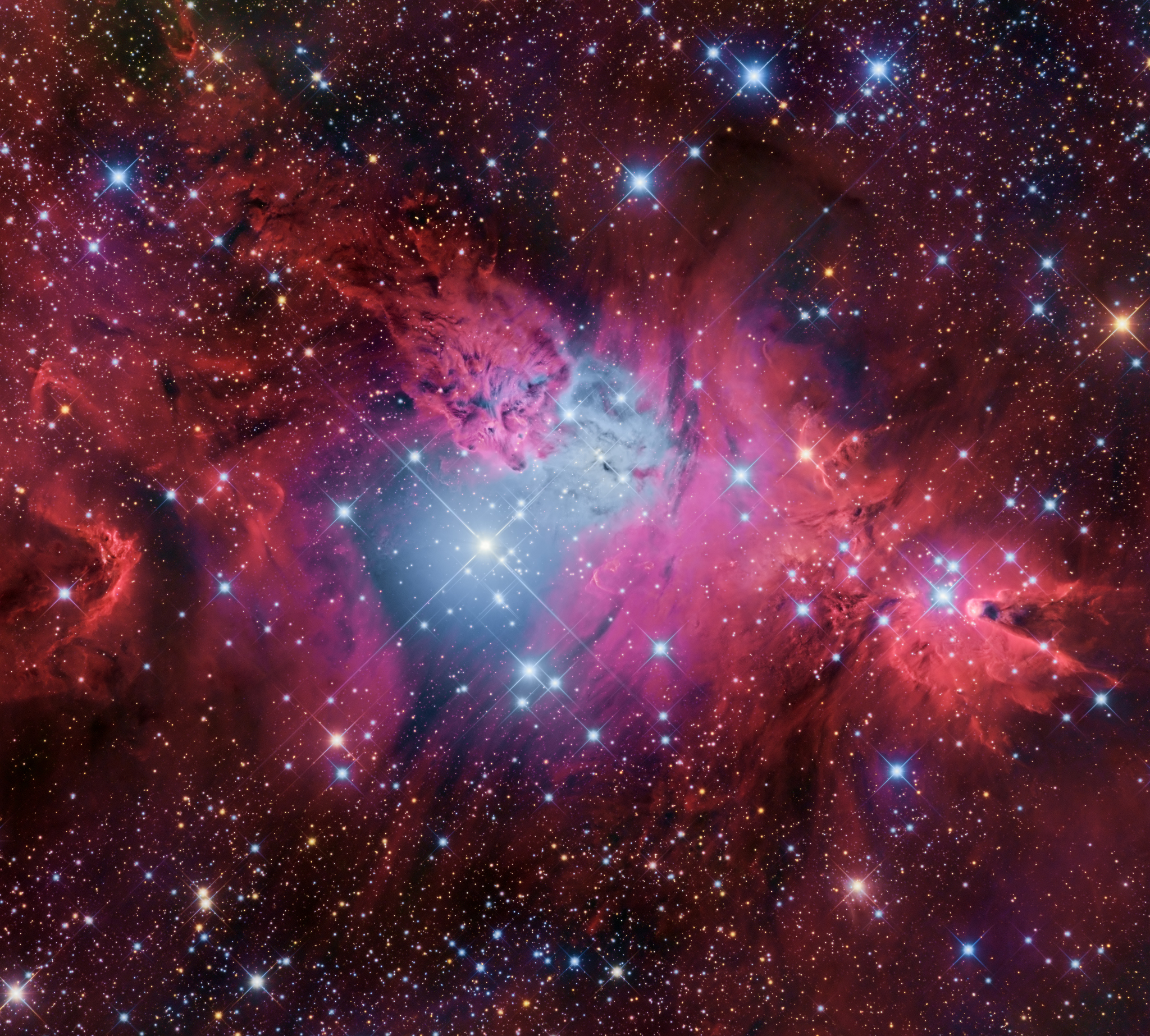 APOD: 2019 February 7 – Fox Fur, Unicorn, and Christmas Tree