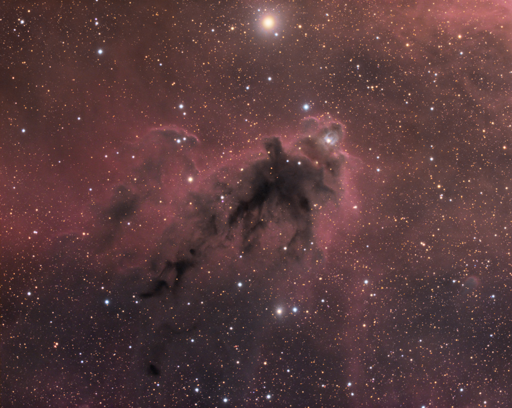 APOD: 2019 February 2 – LDN 1622: Dark Nebula in Orion