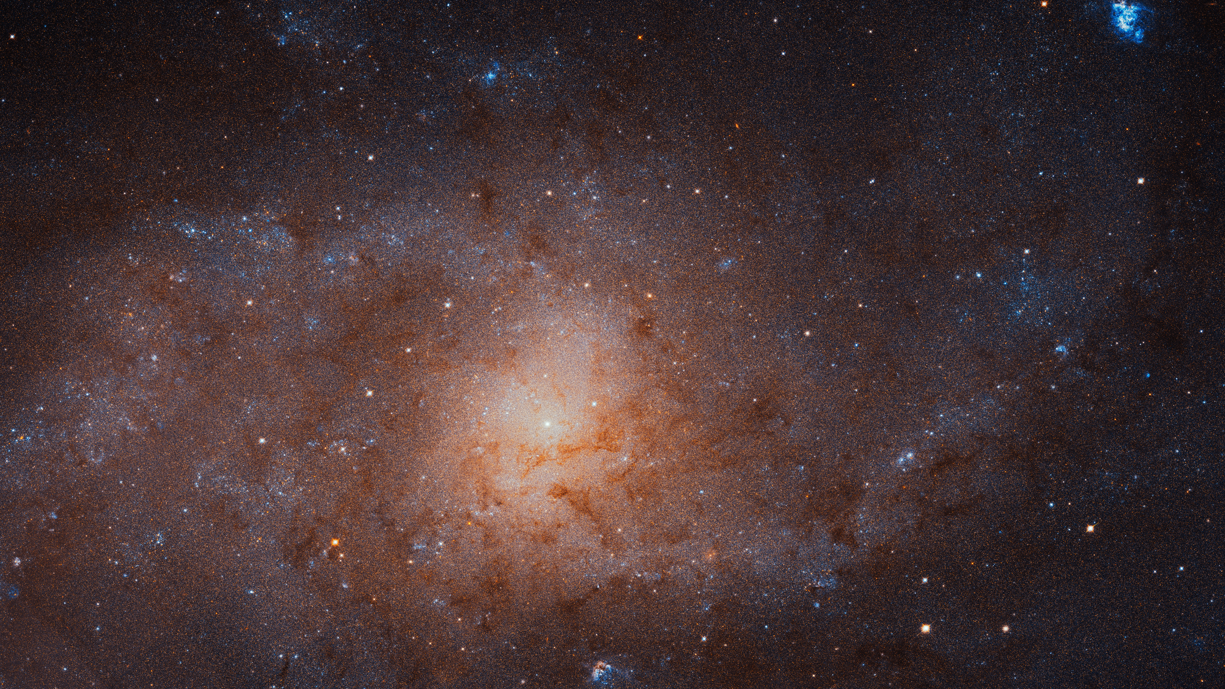 APOD: 2019 February 23 – The Stars of the Triangulum Galaxy