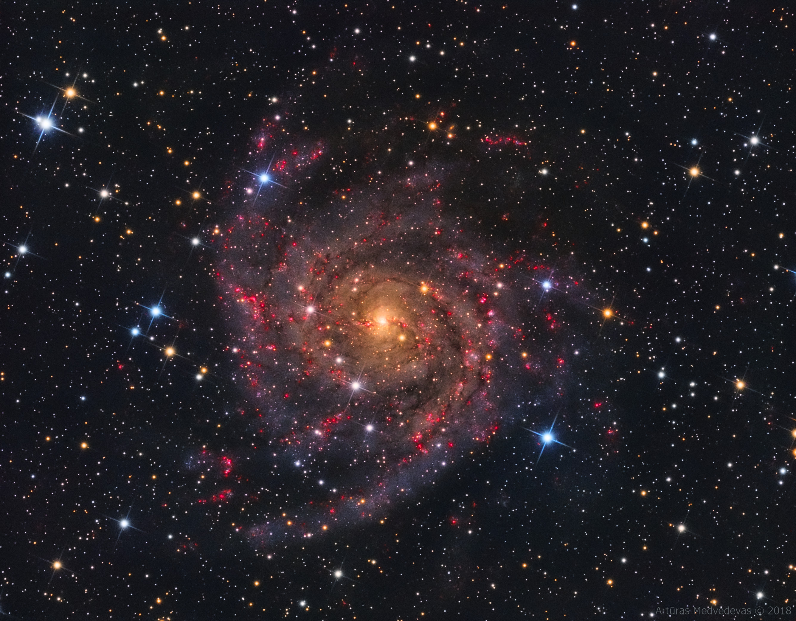 APOD: 2019 January 16 – IC 342: The Hidden Galaxy