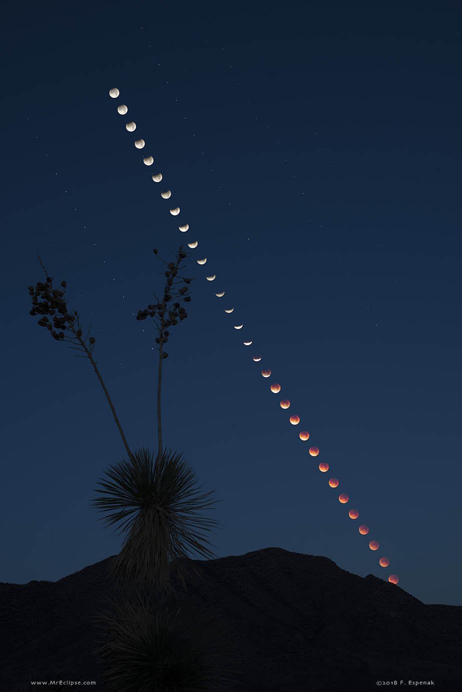 APOD: 2019 January 19 – Total Lunar Eclipse at Moonset