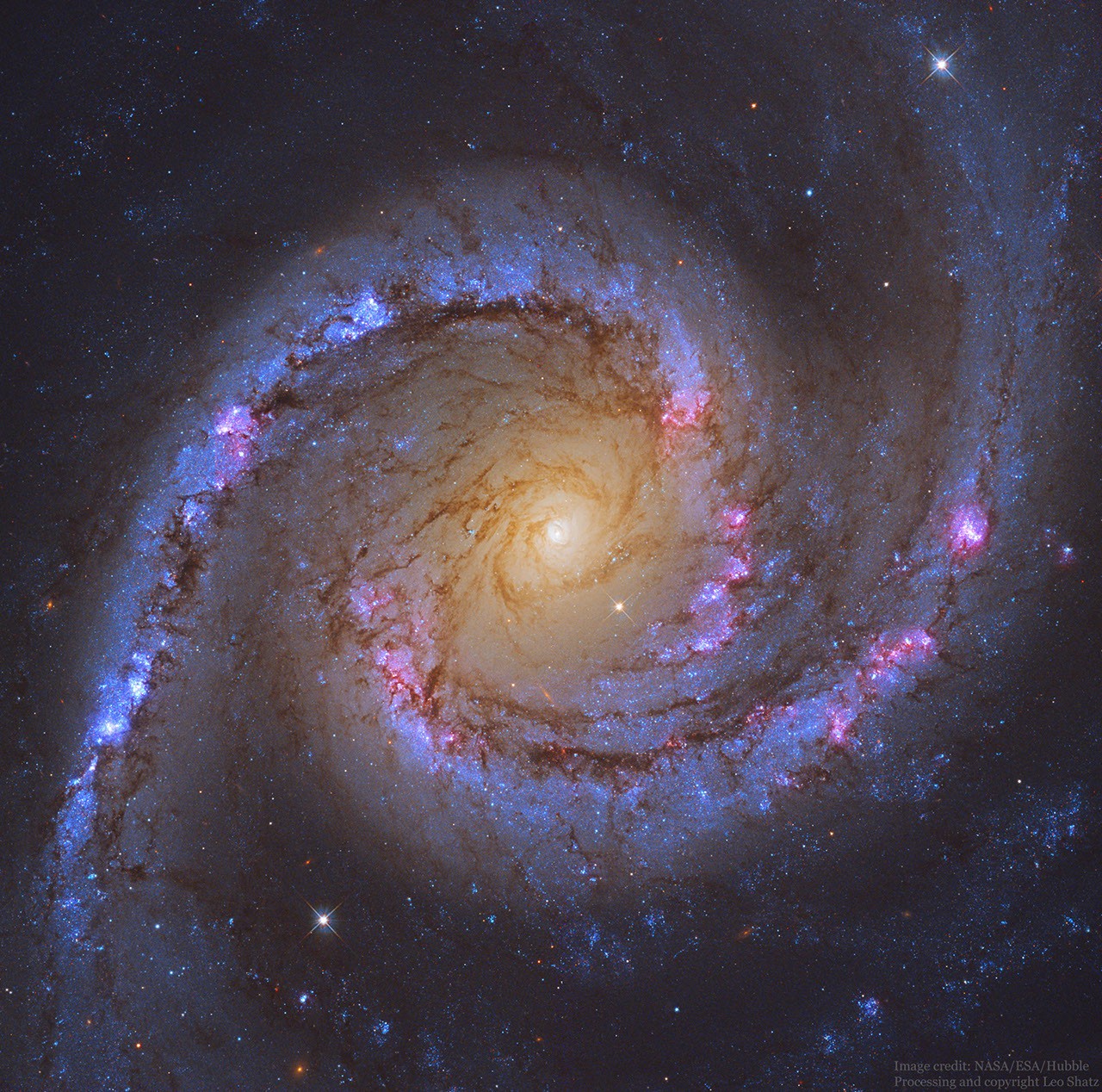 NGC 1566: The Spanish Dancer Spiral Galaxy — APOD for 2019-07-02