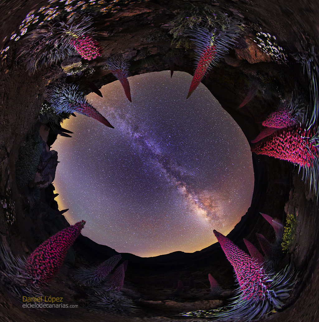 APOD: 2019 May 25 – Planet of the Tajinastes