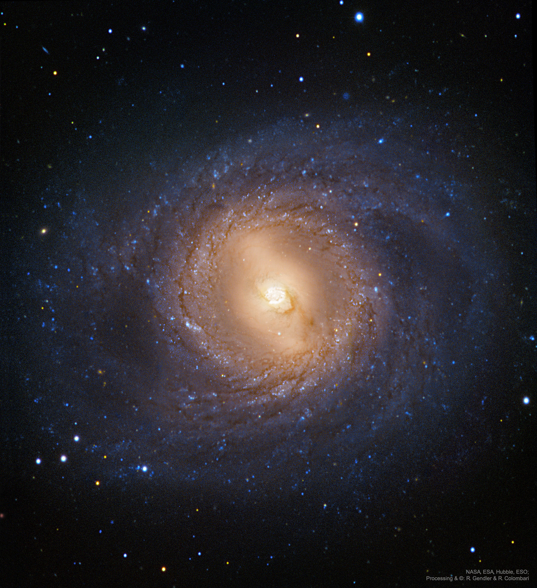 APOD: 2019 May 29 – M95: Spiral Galaxy with an Inner Ring