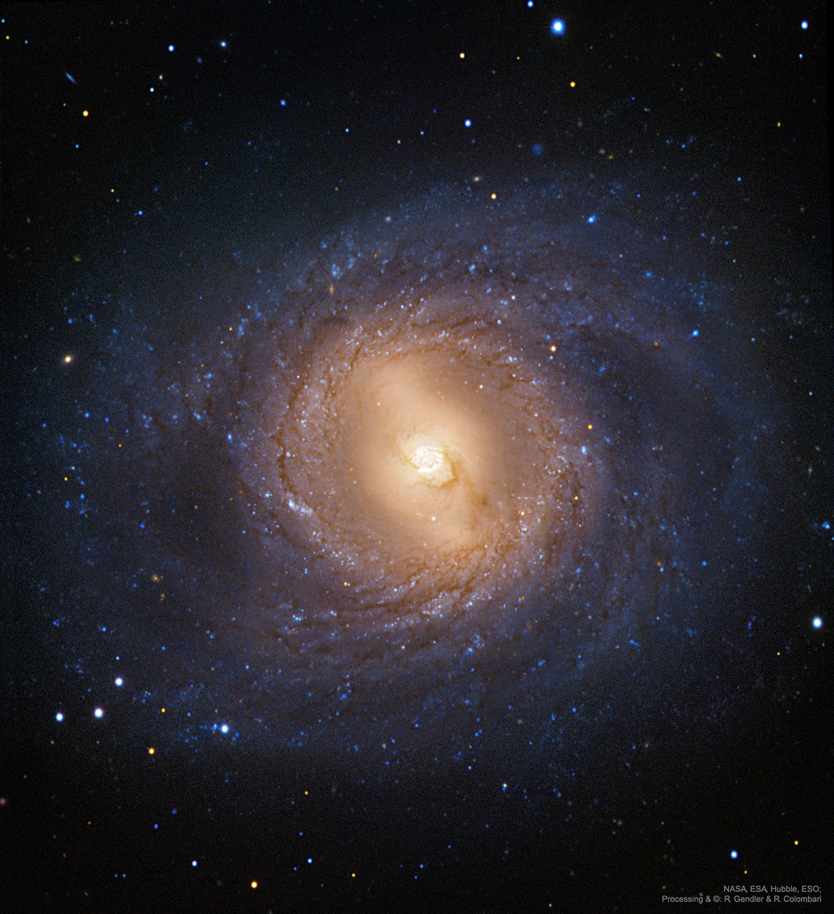 M95: Spiral Galaxy with an Inner Ring — APOD for 2019-05-29
