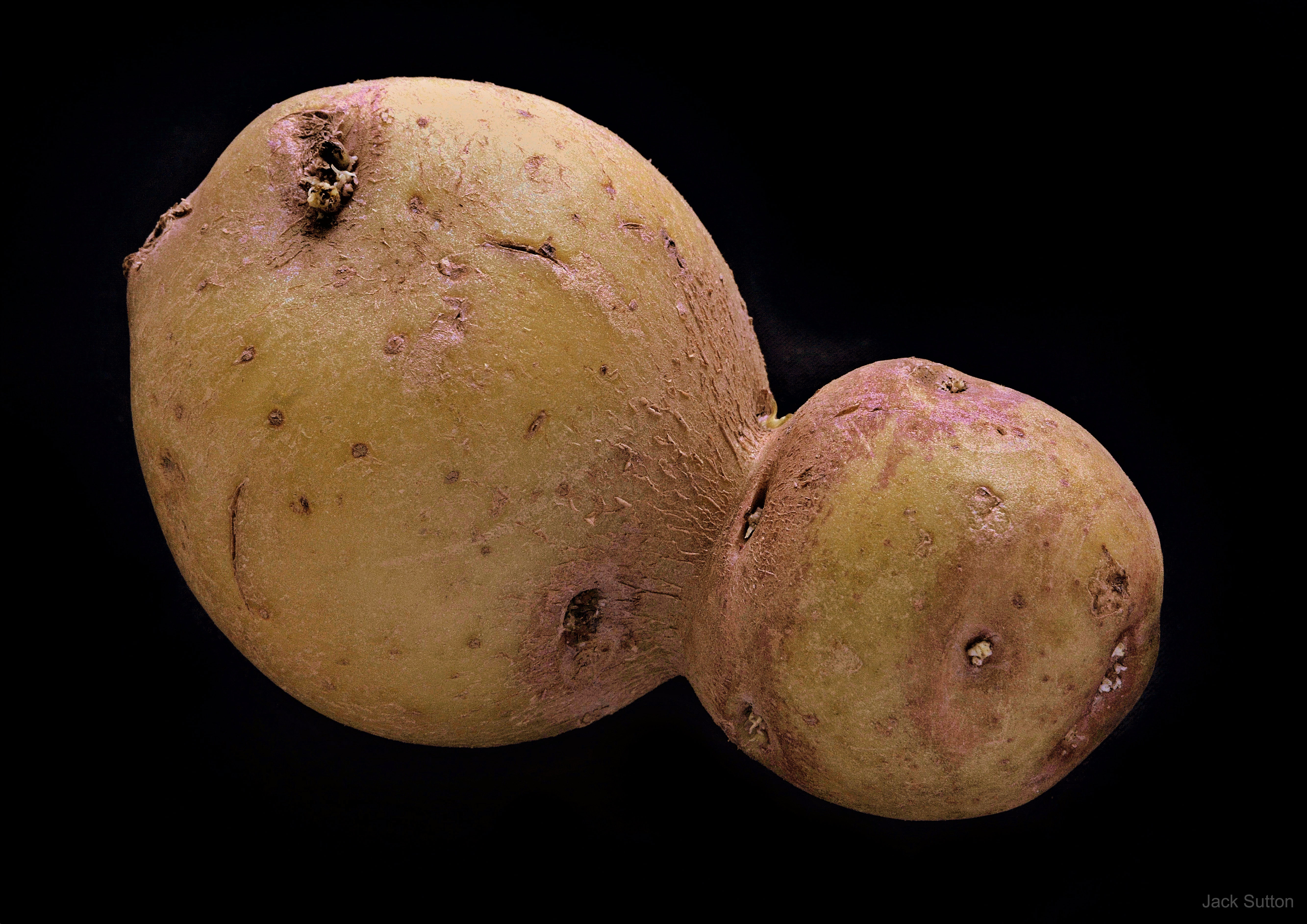 APOD: 2020 April 1 – Asteroid or Potato