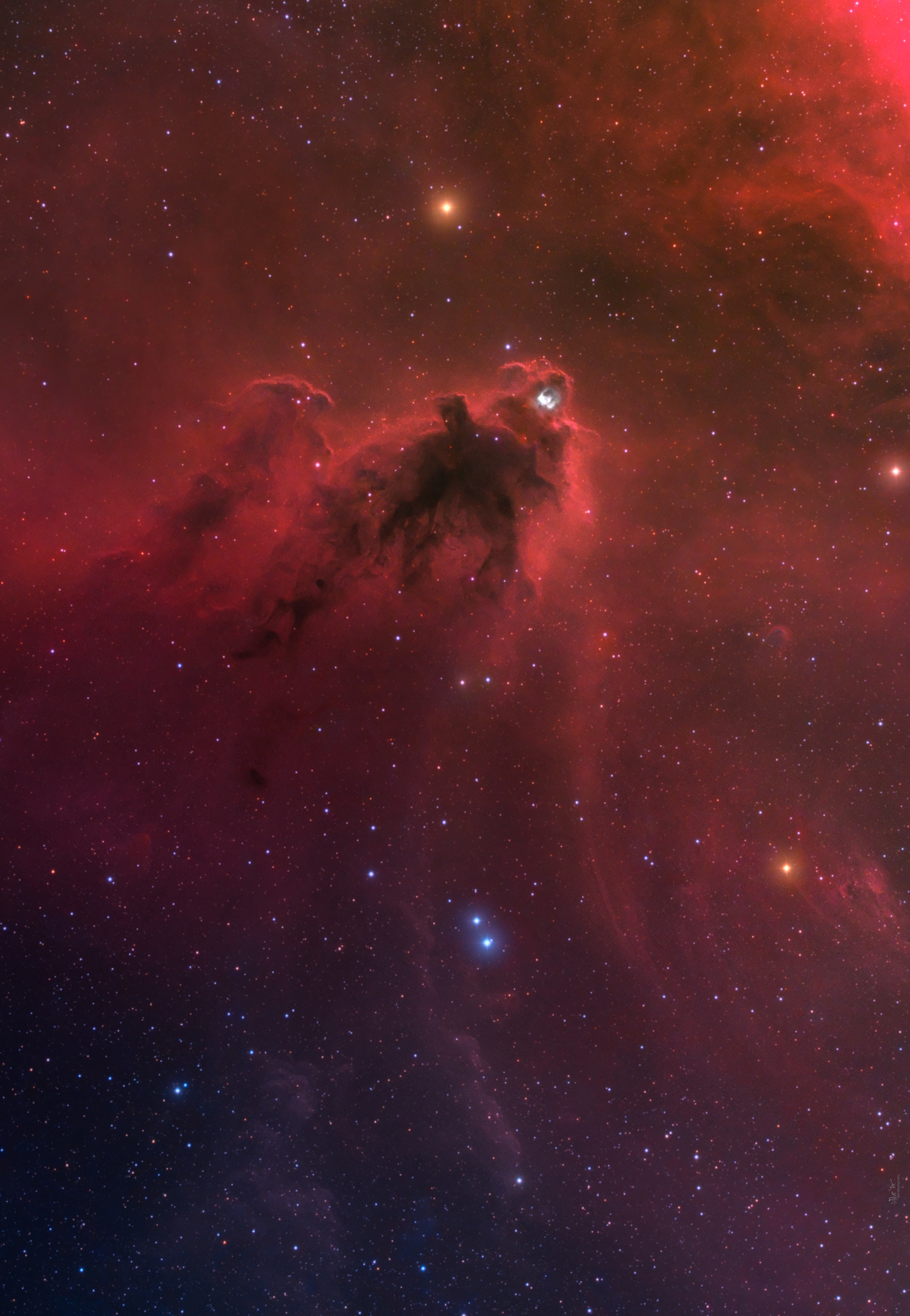 APOD: 2020 February 21 – LDN 1622: Dark Nebula in Orion