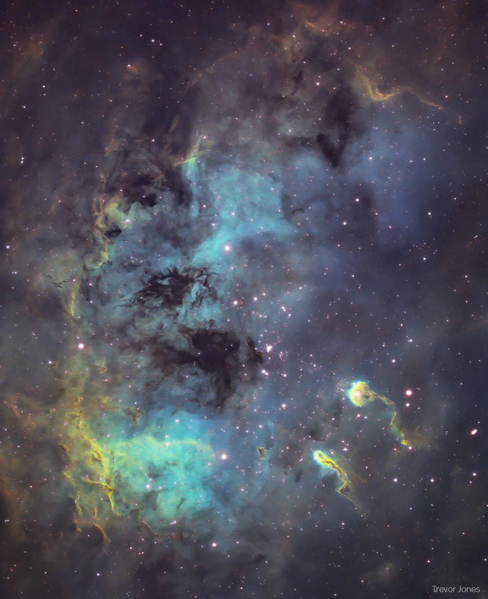 APOD: 2020 June 18 – The Tadpoles of IC 410
