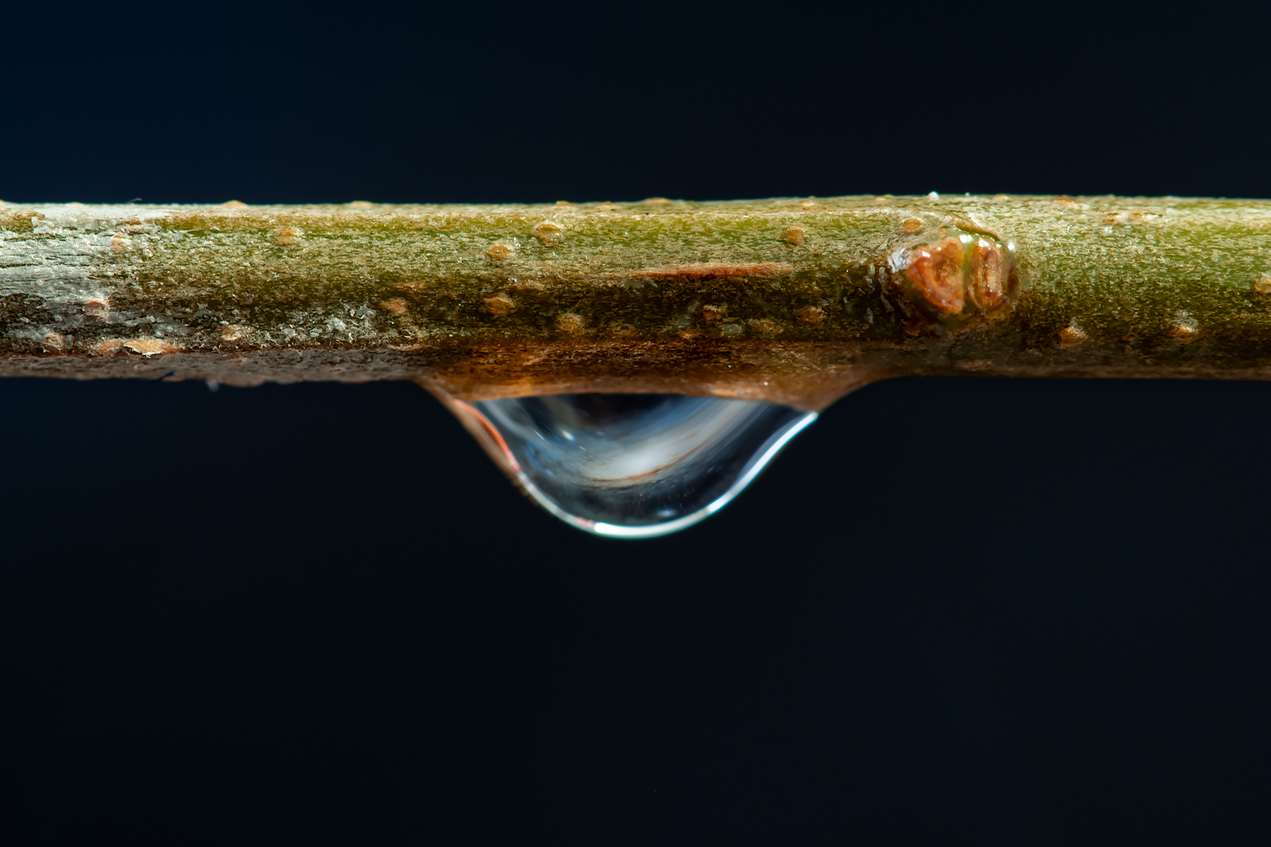 APOD: 2020 March 27 – A Little Drop of Galaxy