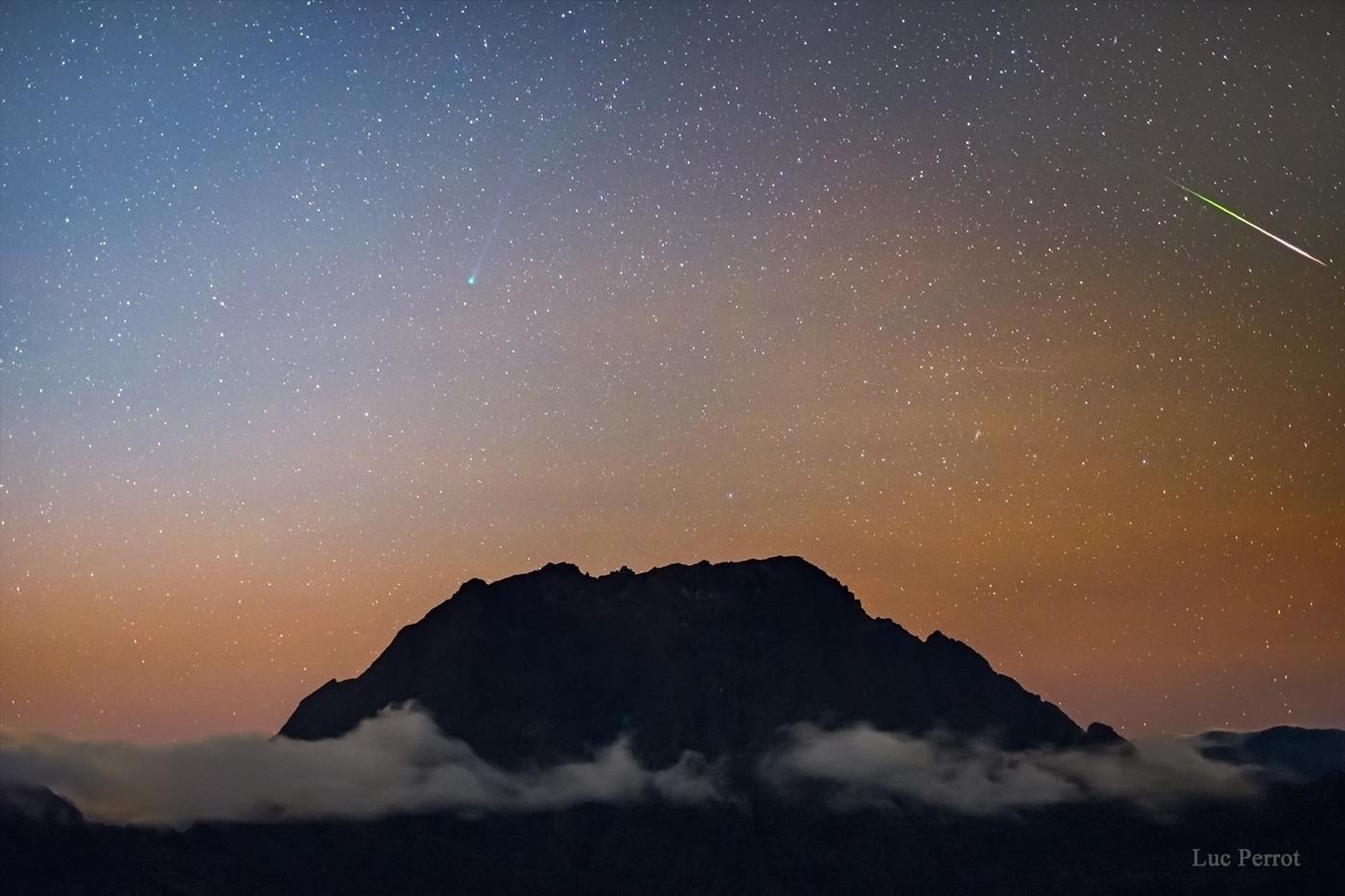 APOD: 2020 May 14 – Comet Halley vs Comet SWAN