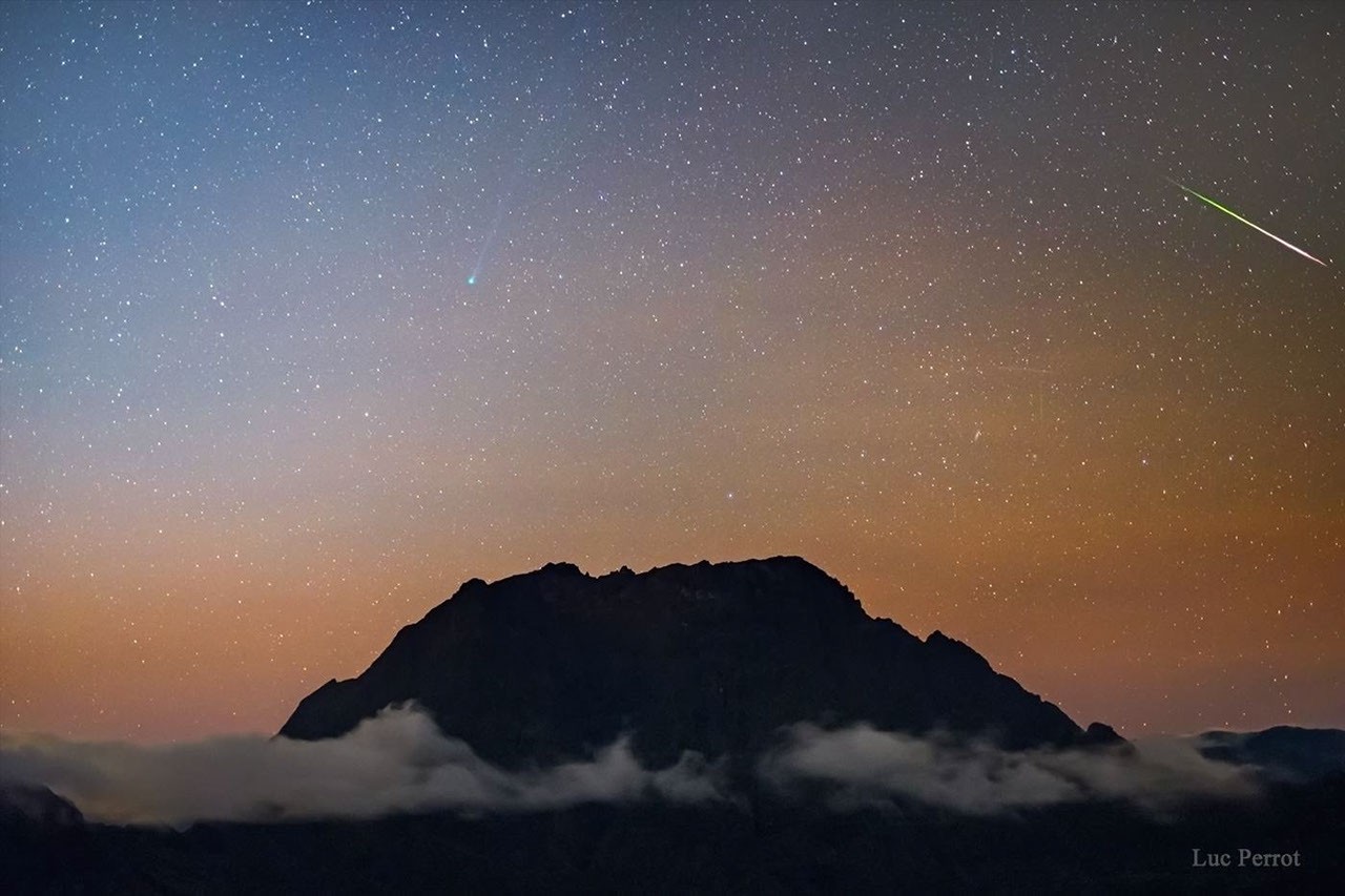 Comet Halley vs Comet SWAN — APOD for 2020-05-14