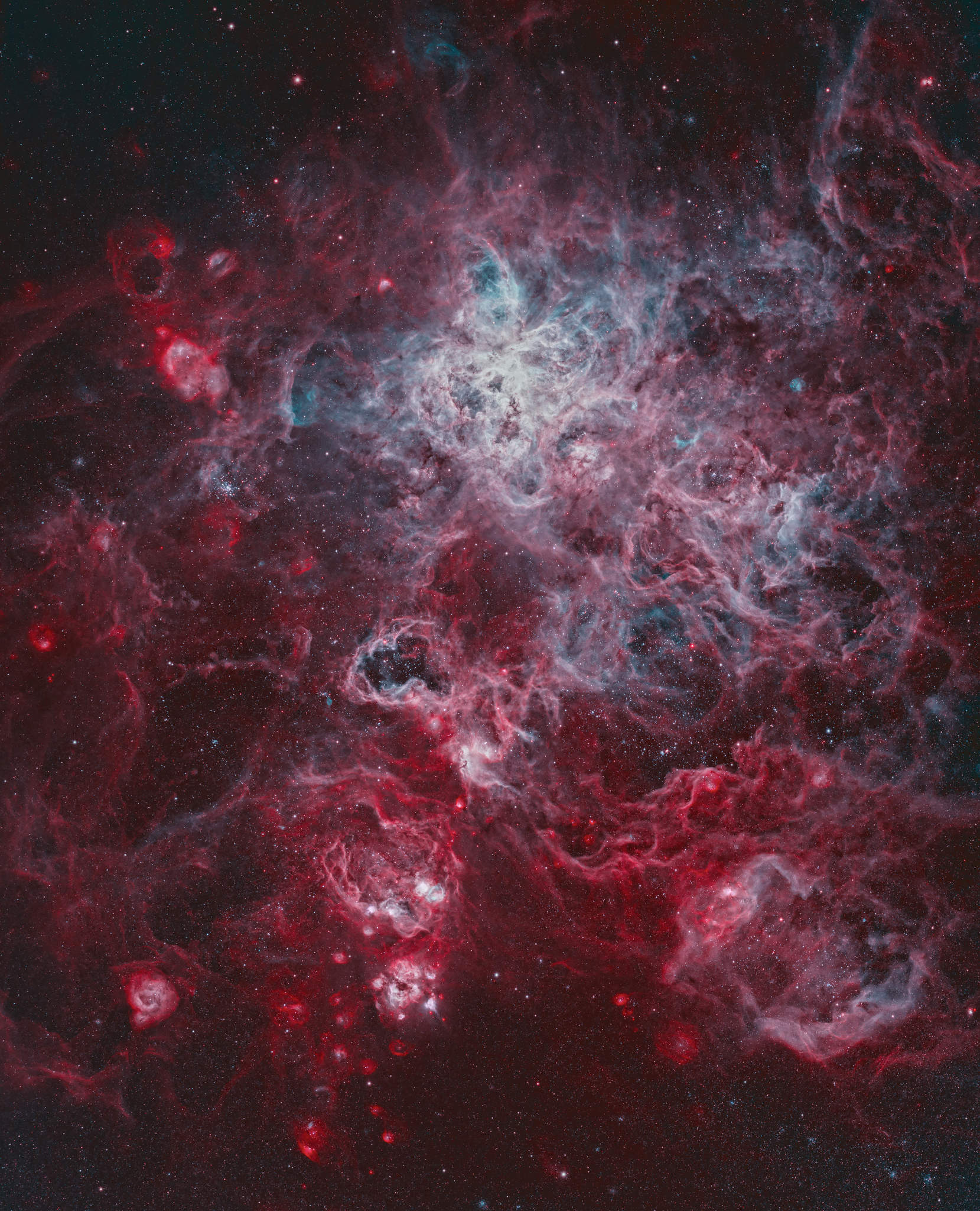 APOD: 2020 November 13 – The Tarantula Zone