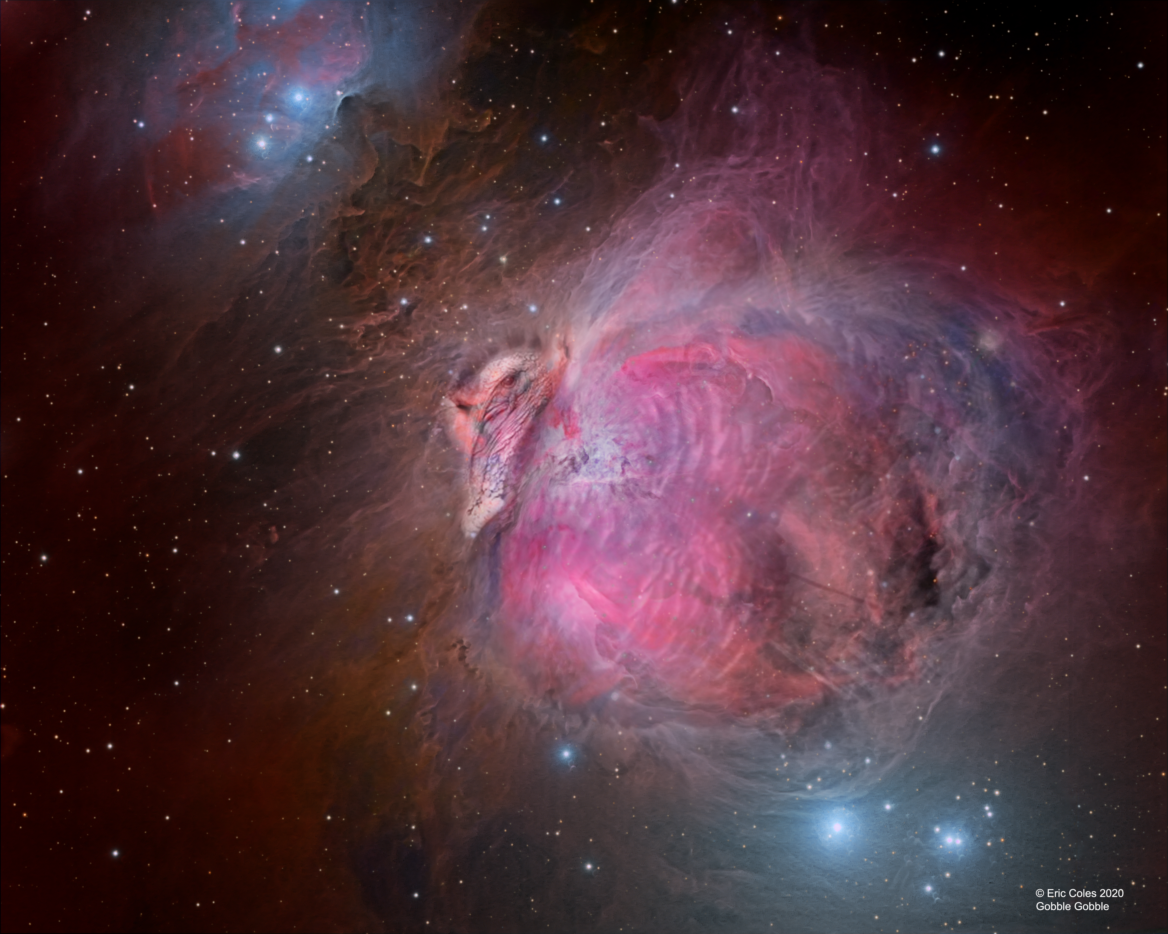 APOD: 2020 November 26 – The Great Turkey Nebula