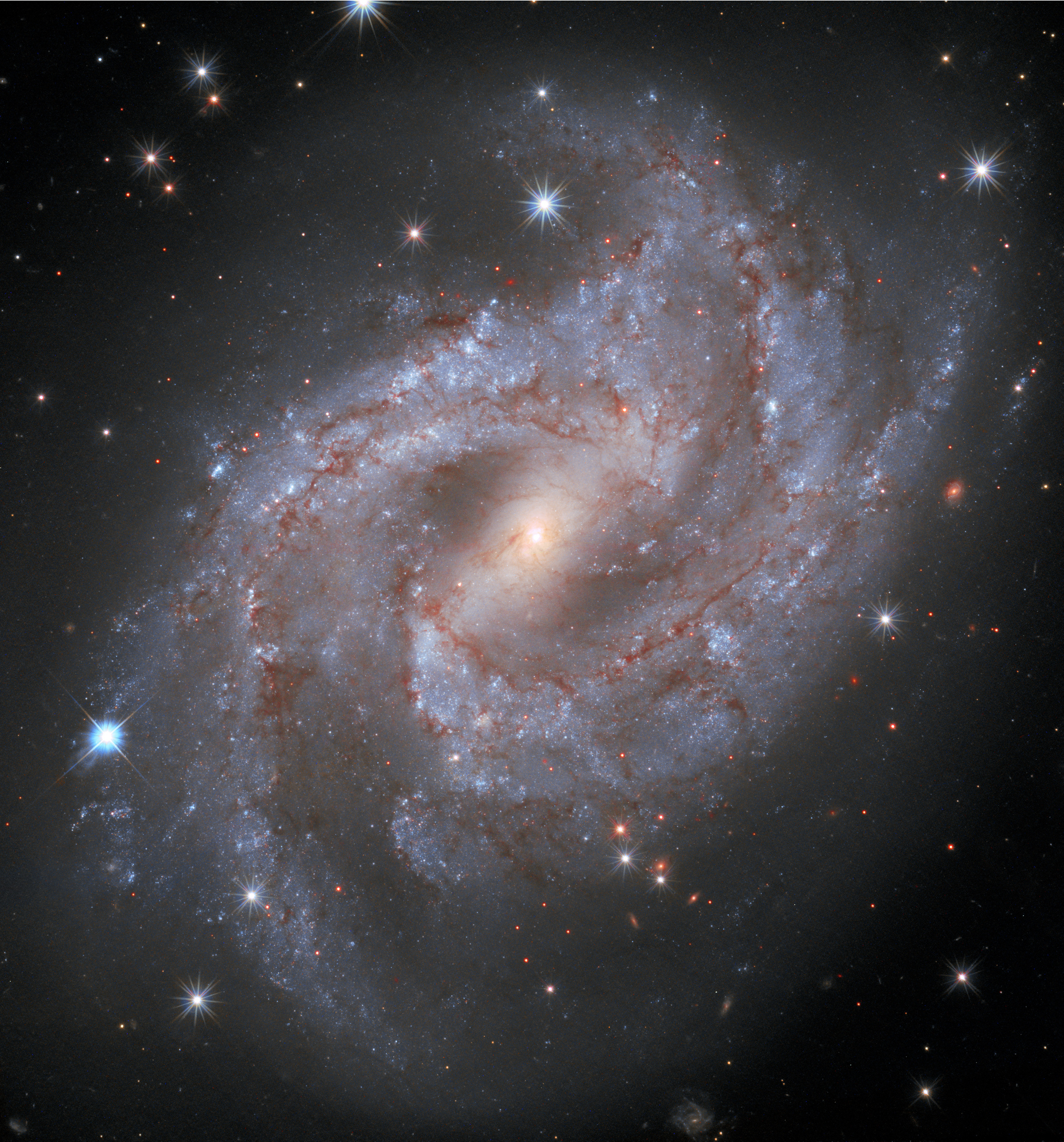 APOD: 2020 October 23 – Supernova in NGC 2525