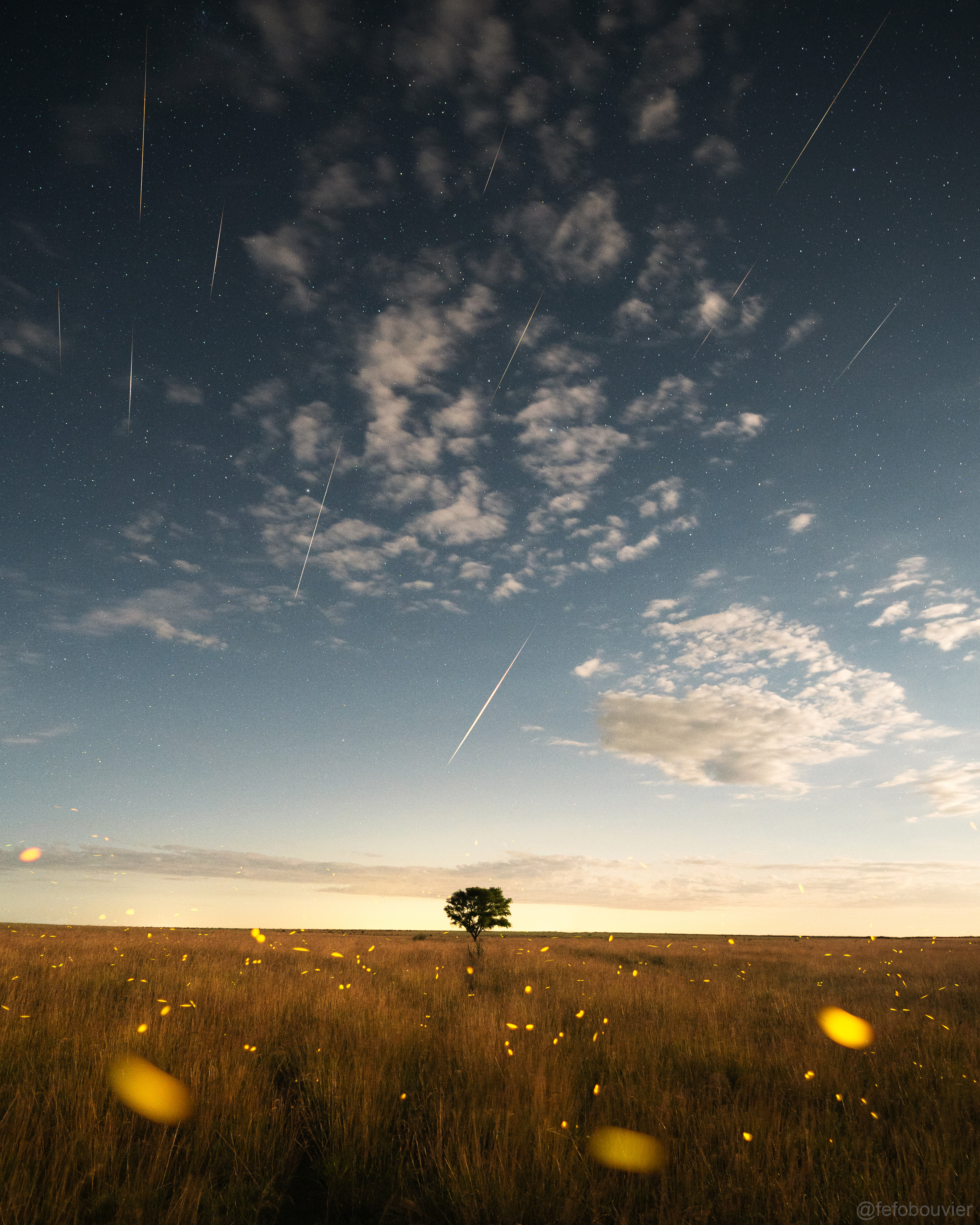 APOD: 2021 December 16 – Geminds of the South