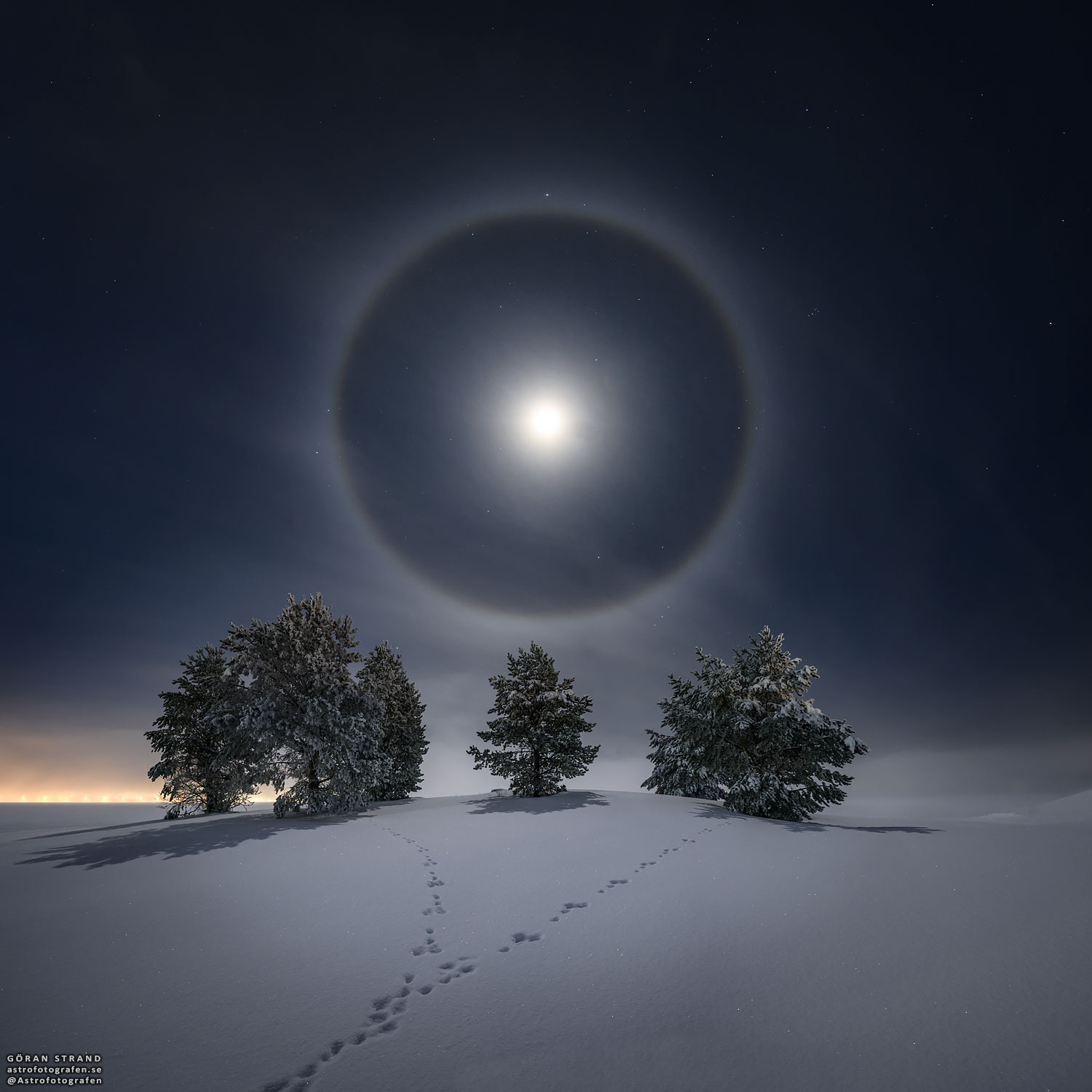 APOD: 2021 February 1 – Lunar Halo over Snowy Trees