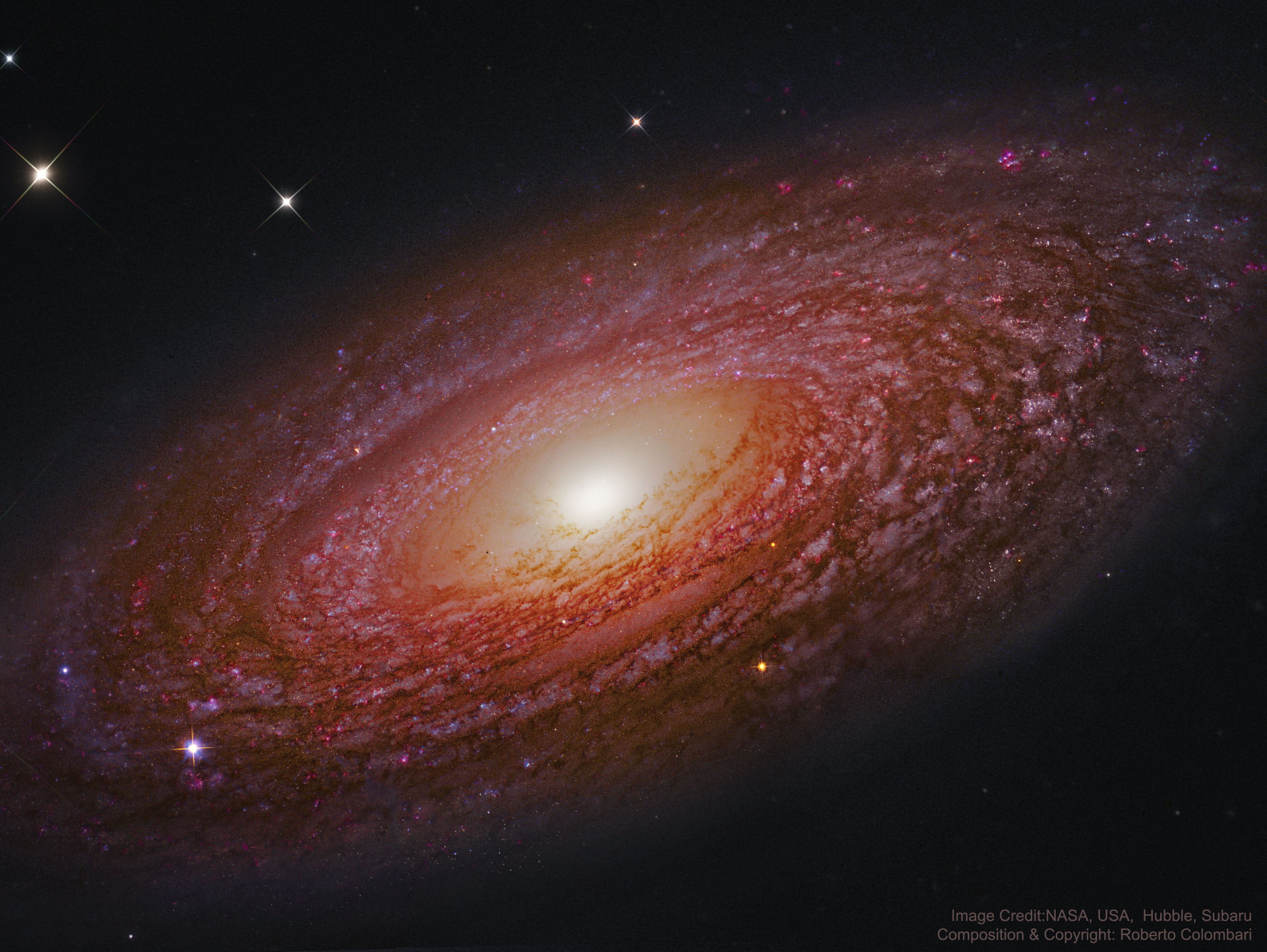 APOD: 2021 January 24 – Massive Nearby Spiral Galaxy NGC 2841