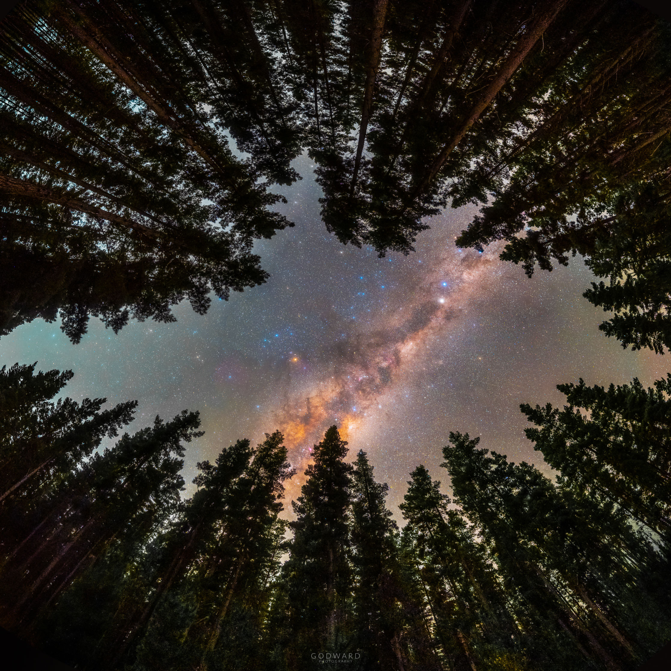 APOD: 2021 July 19 – Framed by Trees: A Window to the Galaxy