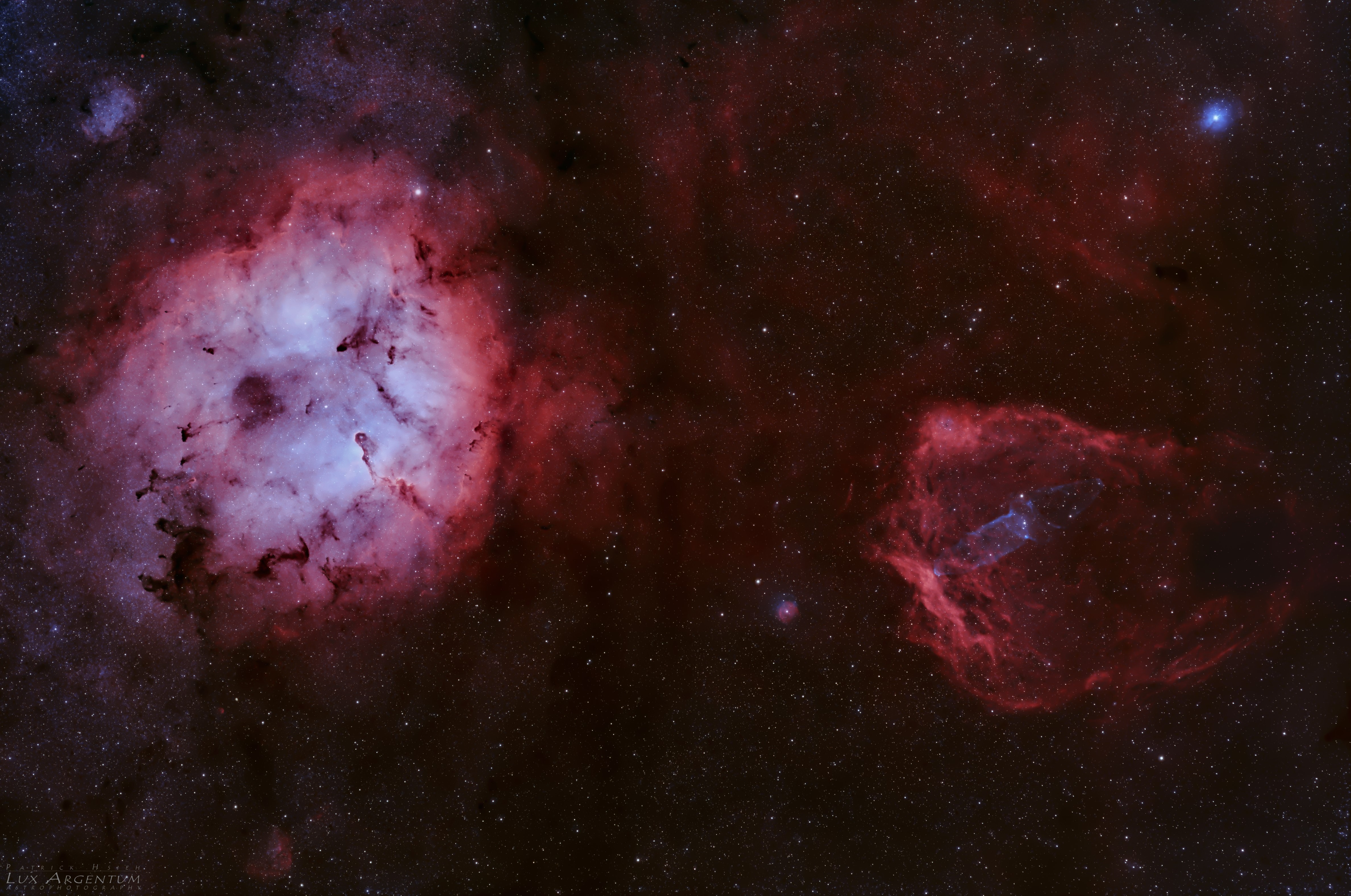 APOD: 2021 July 23 – Elephant, Bat, and Squid