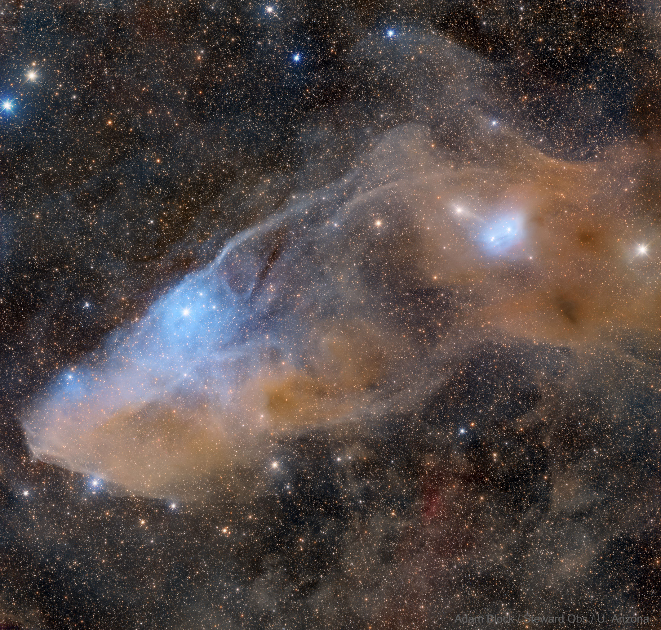 APOD: 2021 July 5 – IC 4592: The Blue Horsehead Reflection Nebula
