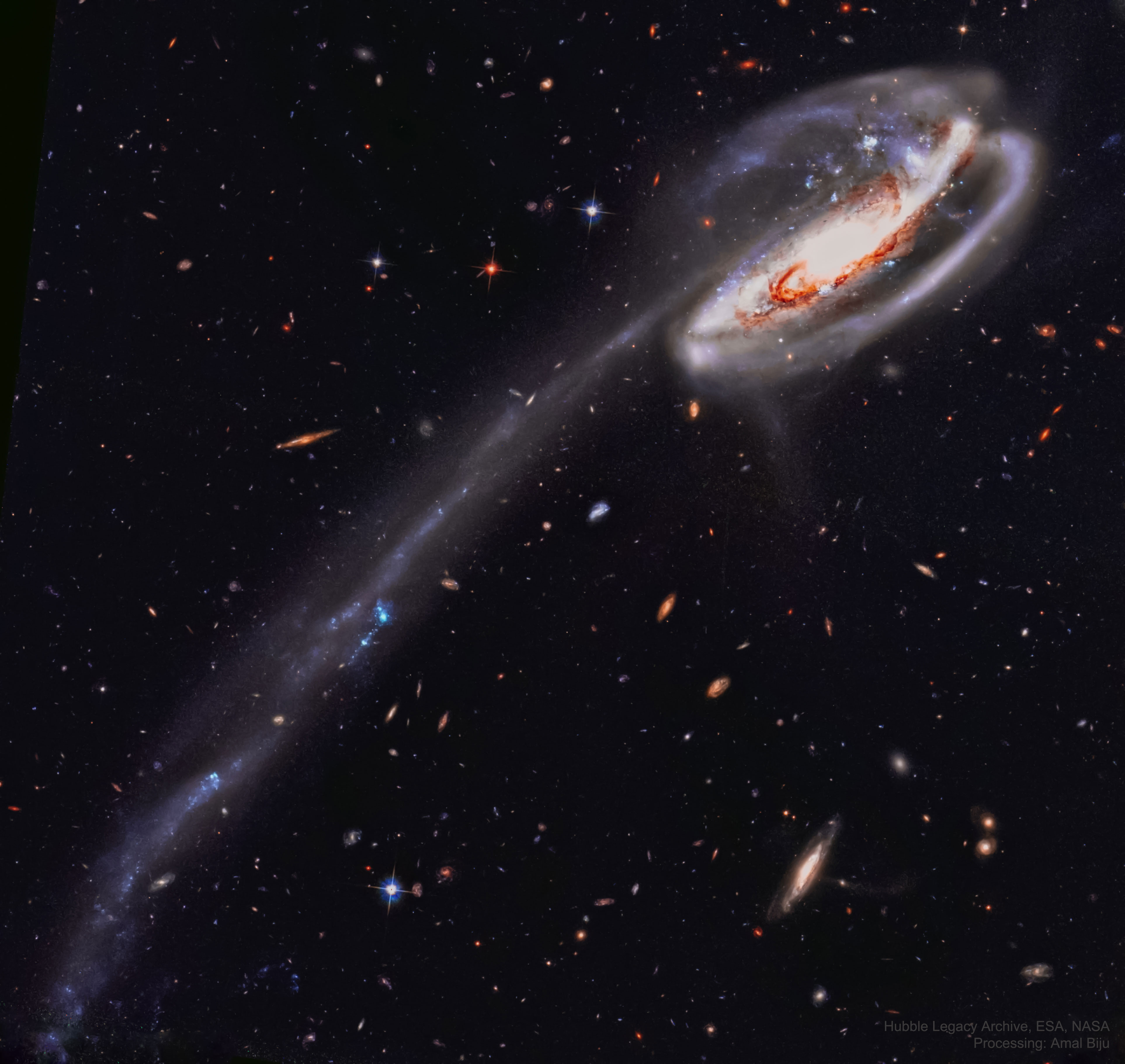 APOD: 2021 June 21 – The Tadpole Galaxy from Hubble