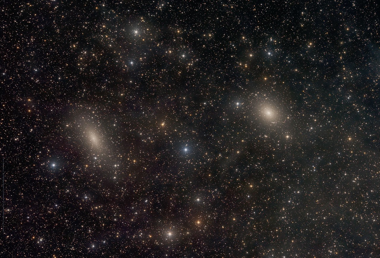 2021年 カナダ　メープルリーフNGC MS69 6549874-072 2021年 カナダ メープルリーフNGC MS69 6549874-072 Canadian Maple