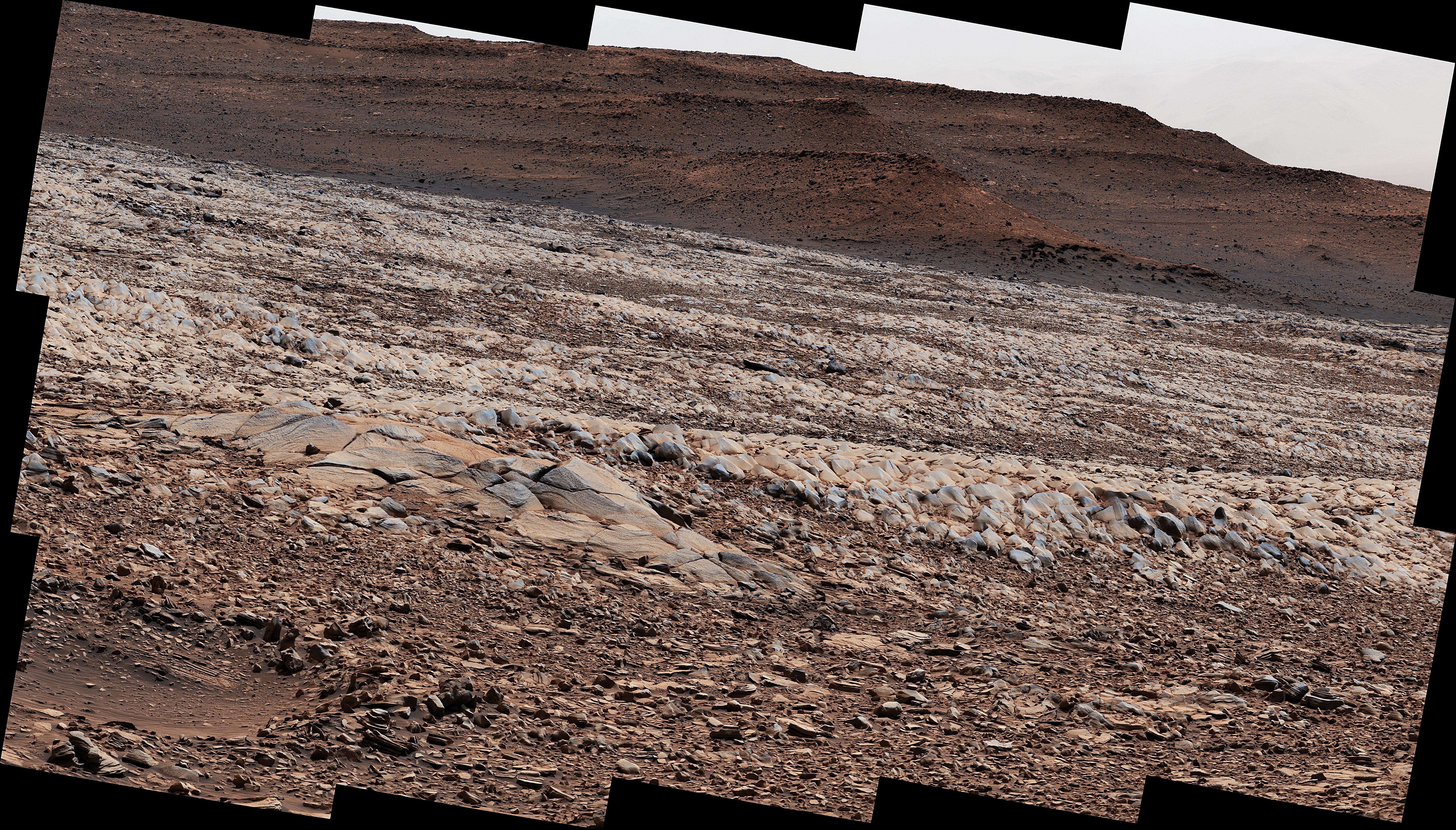 APOD: 2022 April 15 – The Gator-Back Rocks of Mars