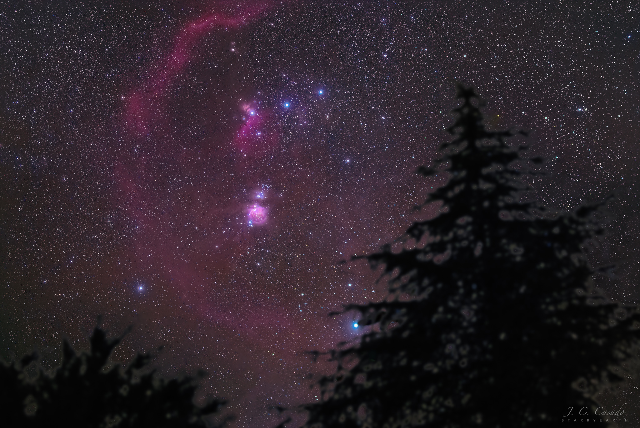 APOD: 2022 April 16 – Orion Pines
