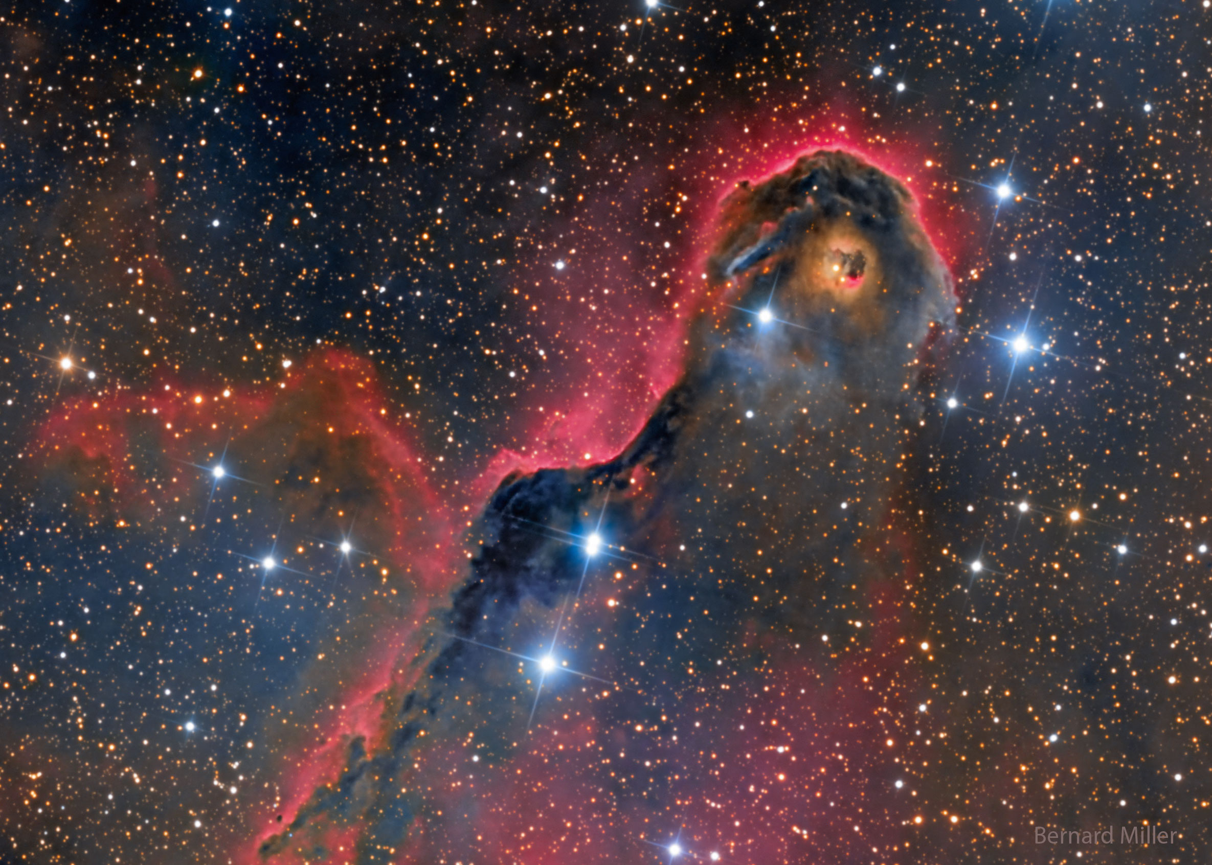 APOD: 2022 December 12 – An Unusual Globule in IC 1396