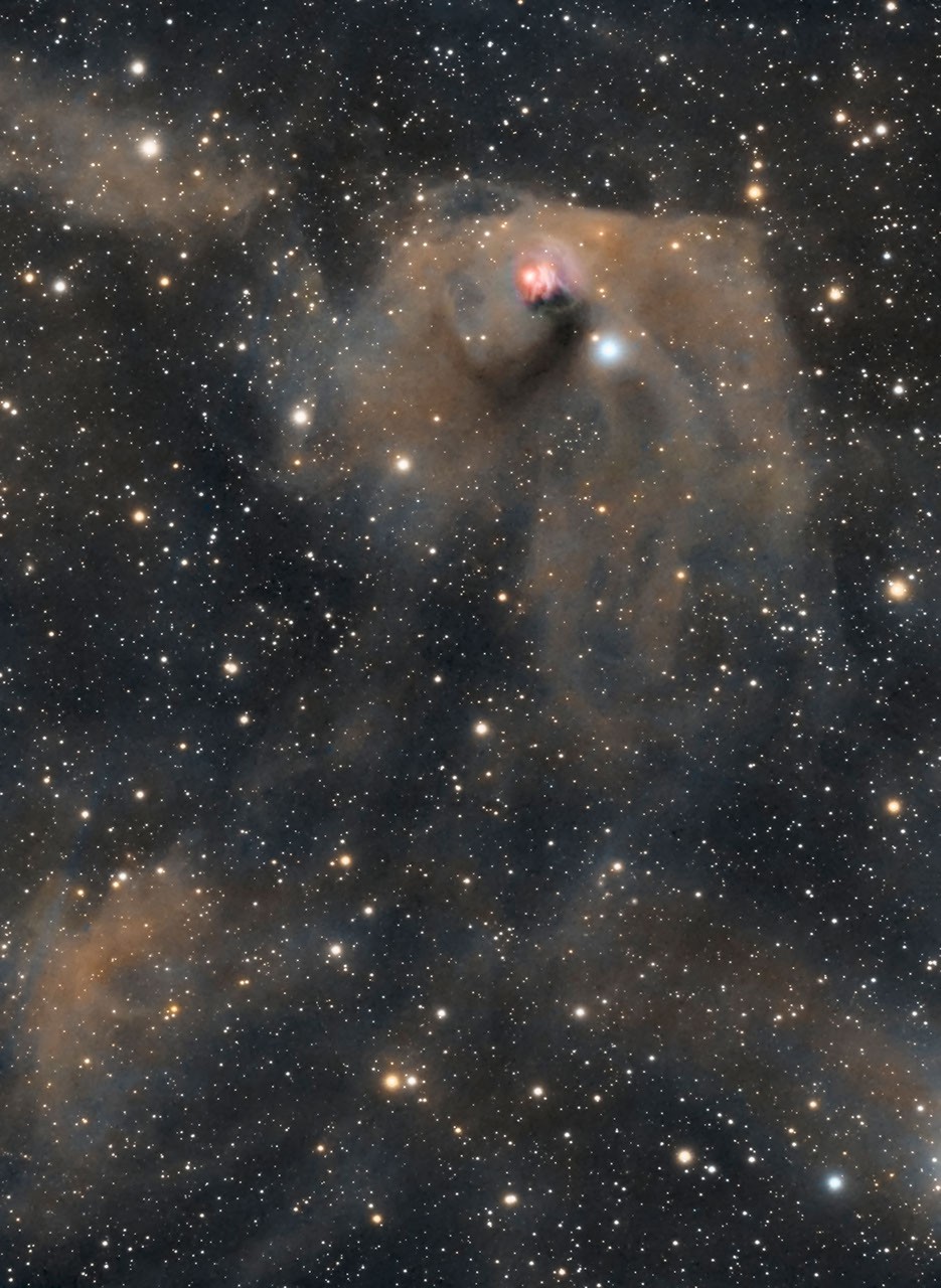 T Tauri and Hind's Variable Nebula — APOD for 2022-02-10
