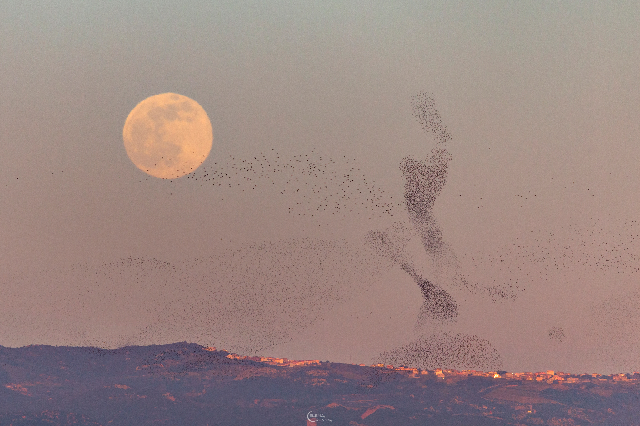 APOD: 2022 January 22 – The Full Moon and the Dancer