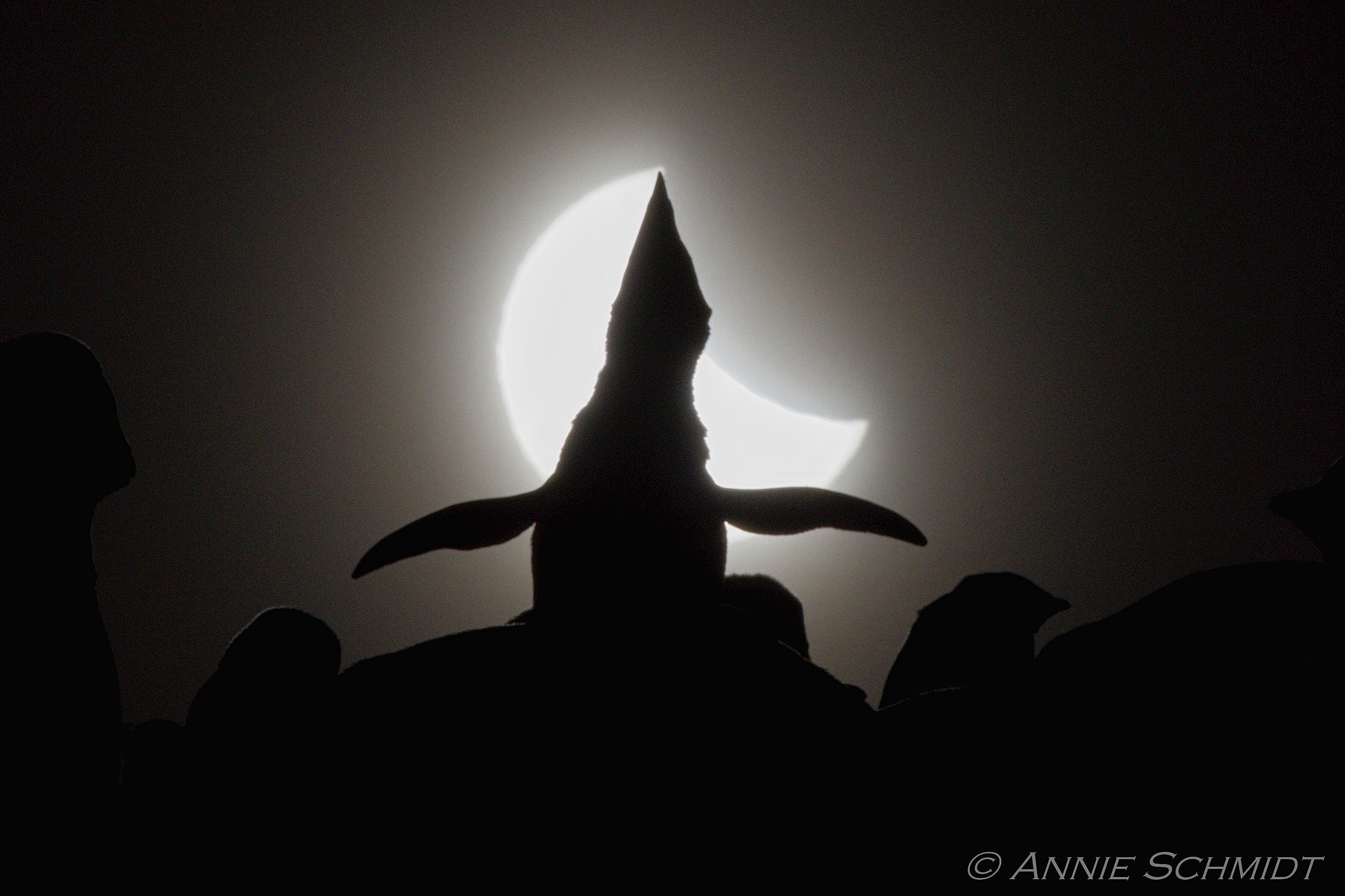 APOD: 2022 January 7 – Ecstatic Solar Eclipse