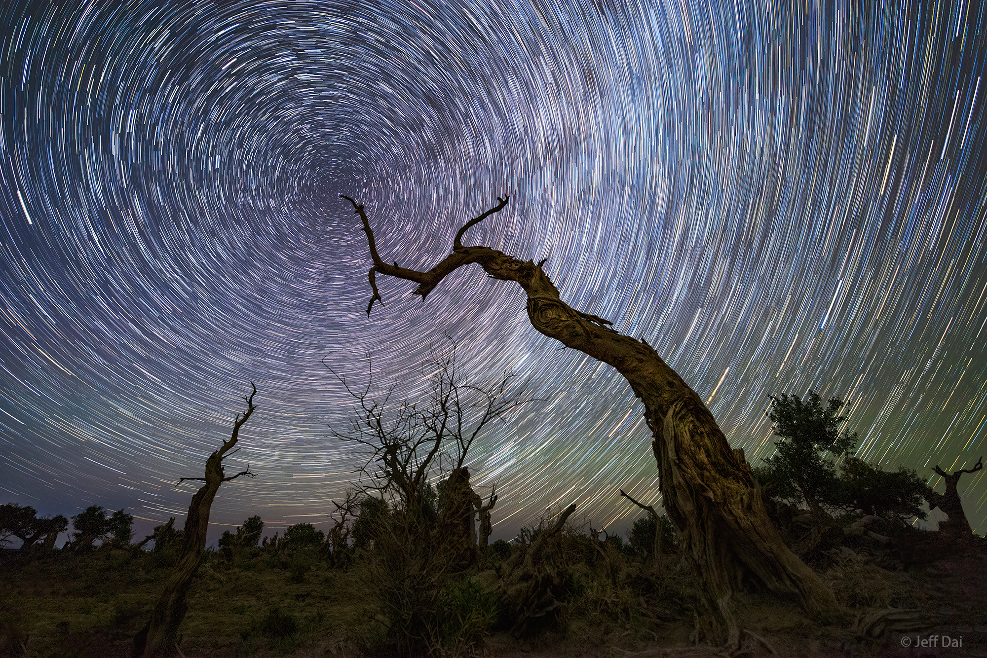 APOD: 2022 July 28 – North Celestial Tree