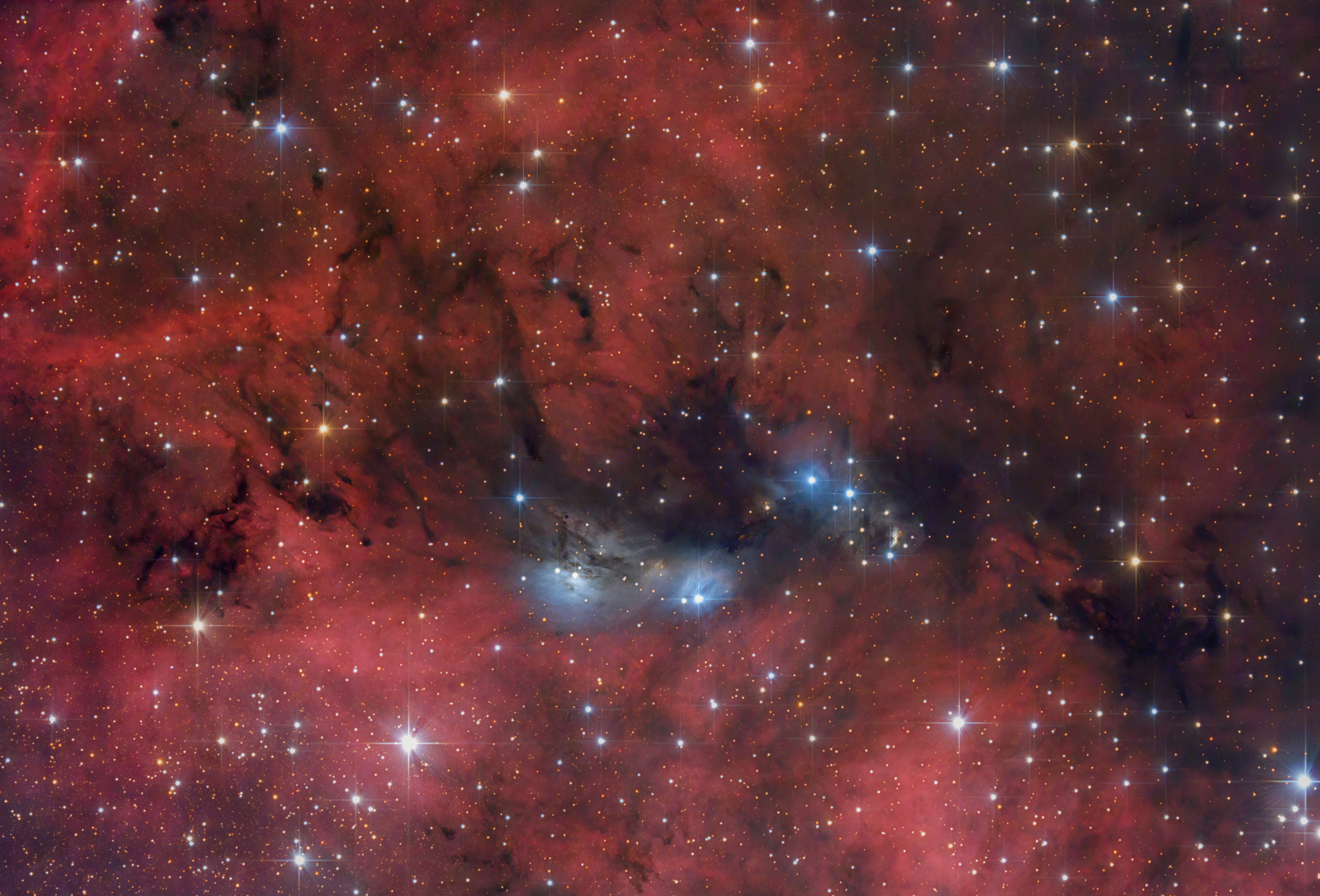 APOD: 2022 July 7 – The NGC 6914 Complex